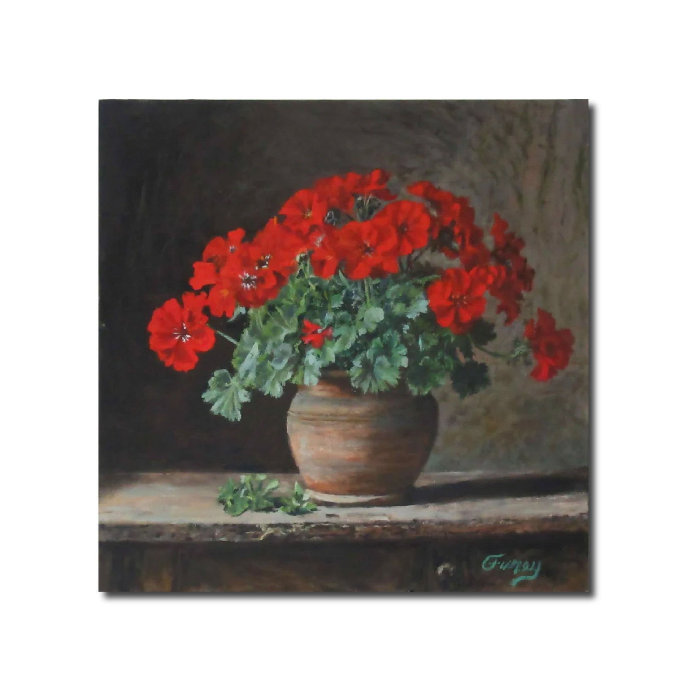 Art Oil Painting Geranium Tom Furey