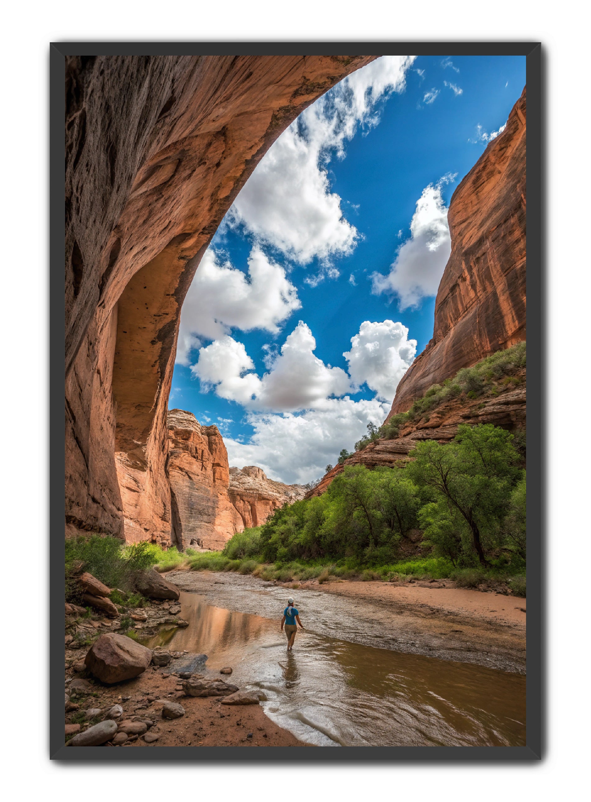 Apricus Prints 'Arches Creek' Apricus Art Collection