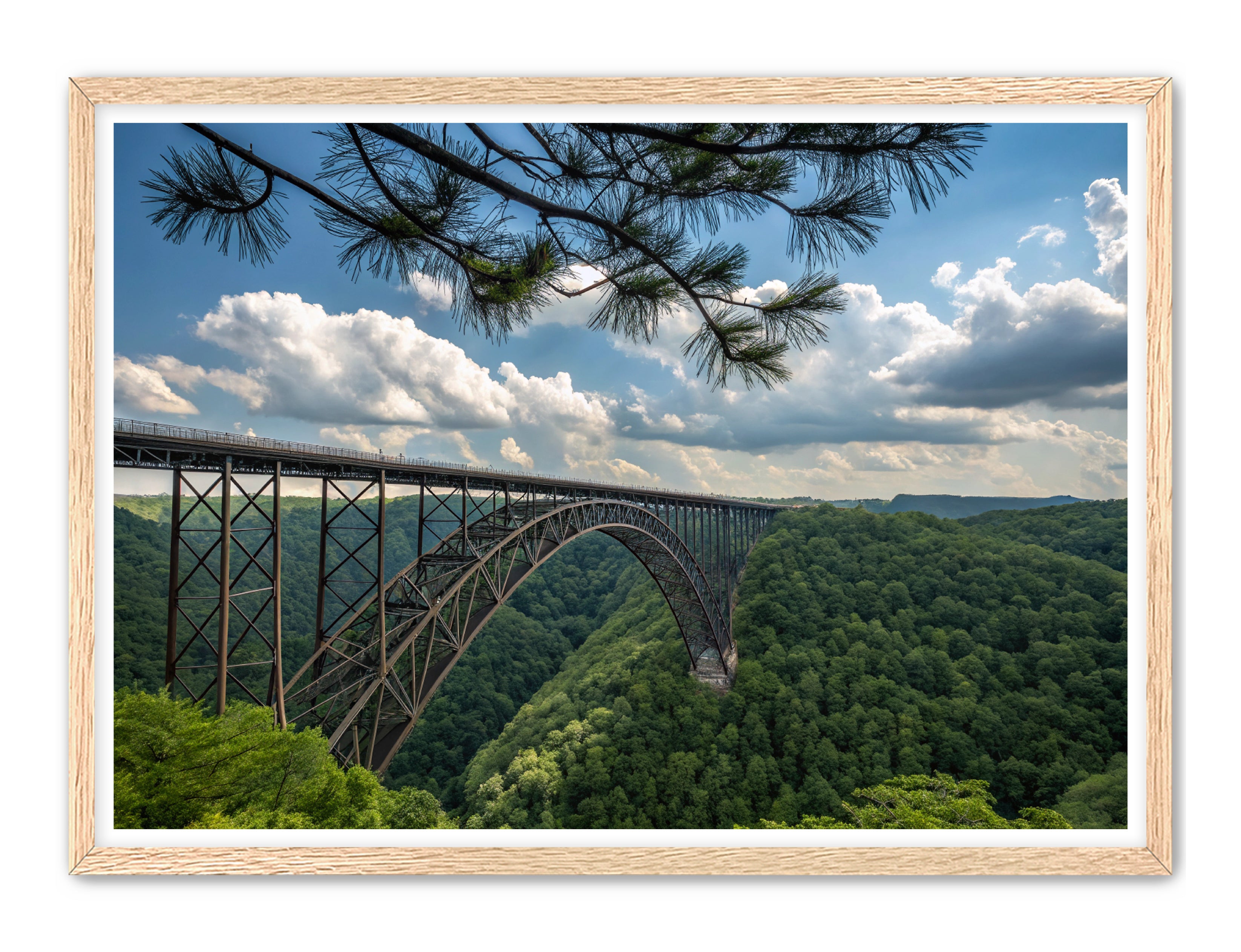 Apricus Prints 'Wild & Wonderful, West Virginia' Apricus Art Collection