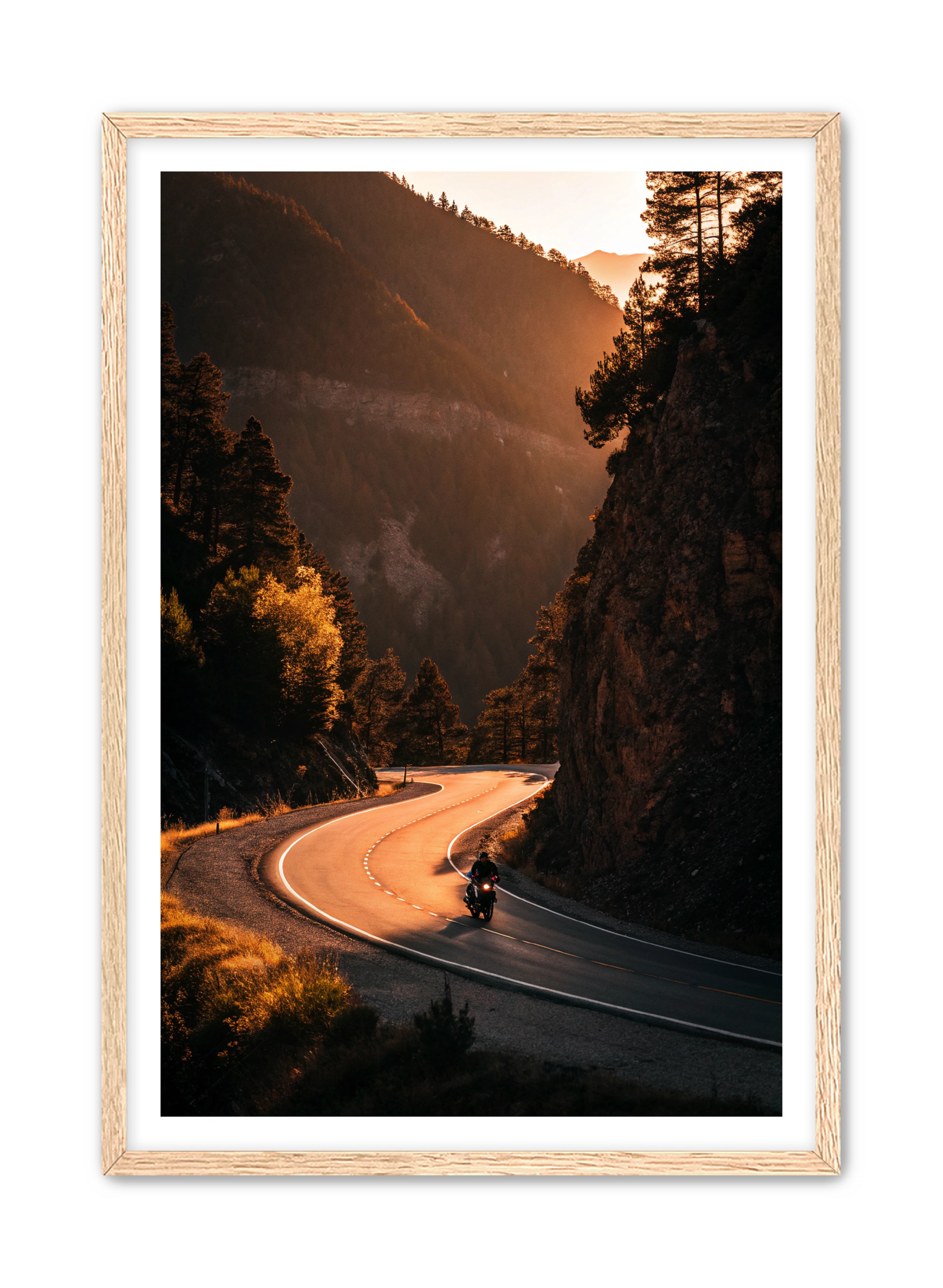 Apricus Prints 'Riding the Ridge' Apricus Art Collection