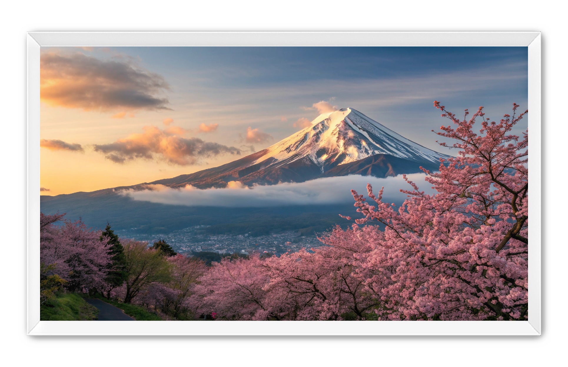 Apricus Prints 'Fuji’s Reflection' Apricus Art Collection