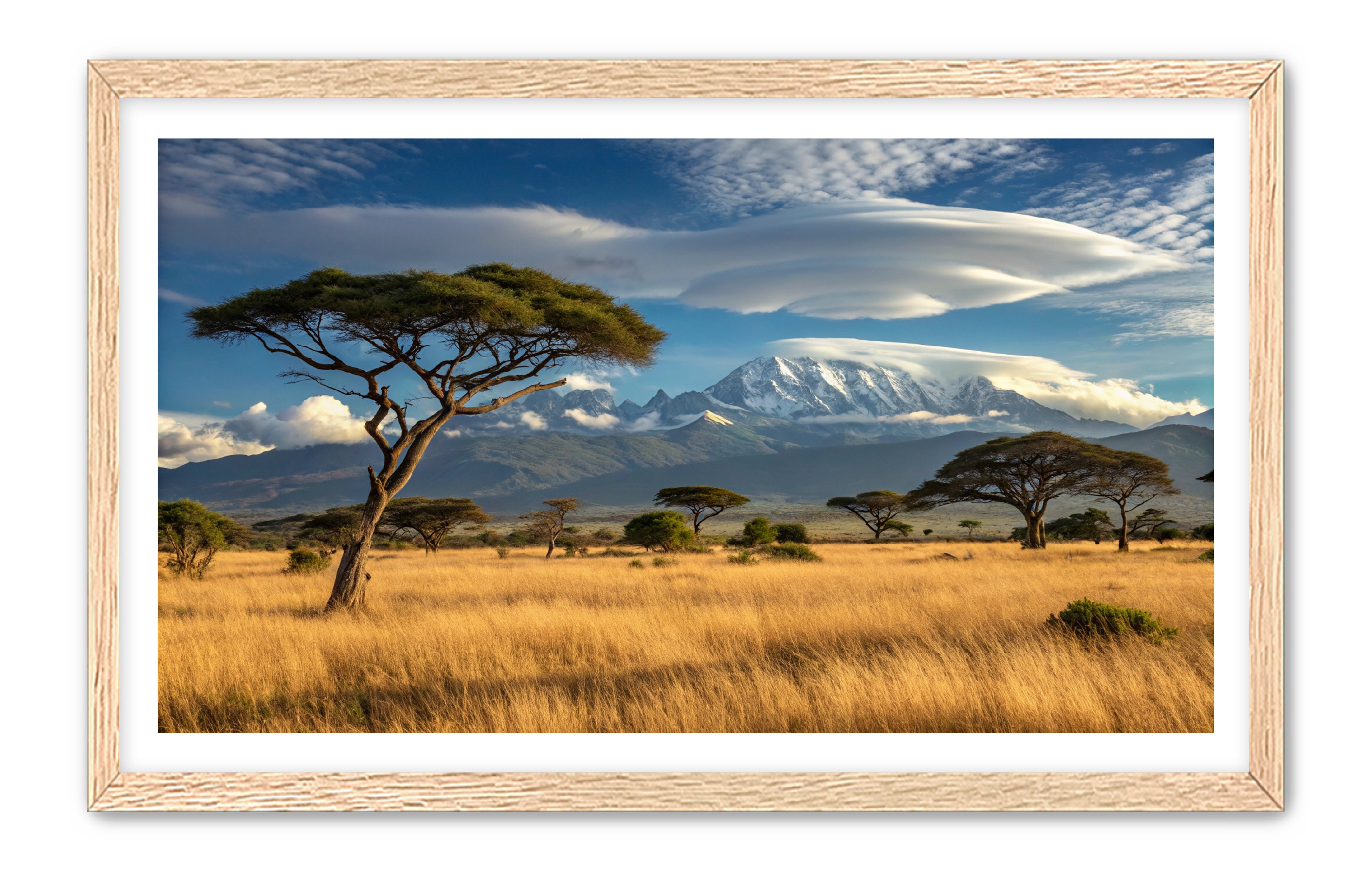 Apricus Prints 'Safari Layers' Apricus Art Collection