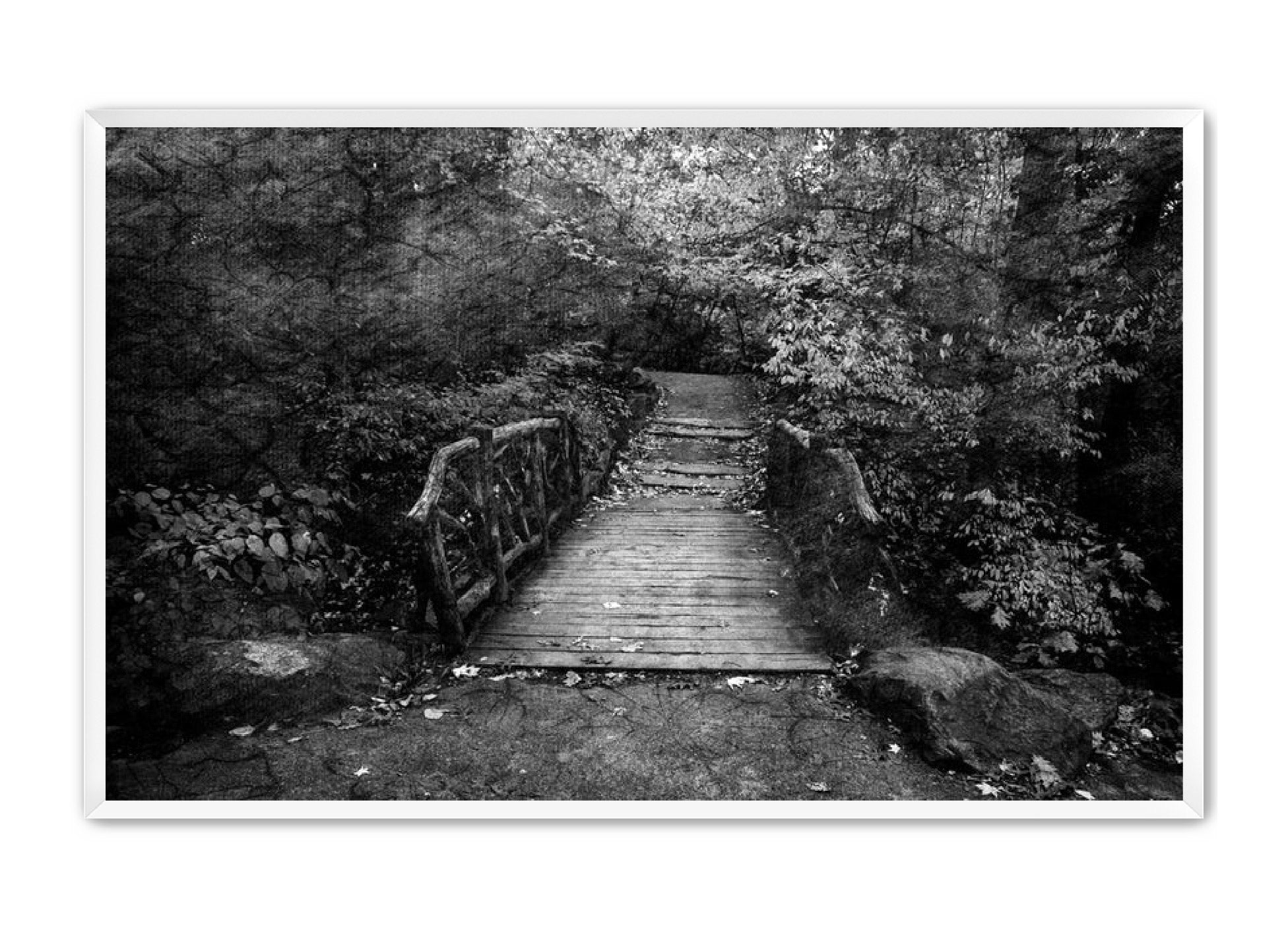 PhotoArt Prints 'PARK PATH' Danielle Neumann Kelly