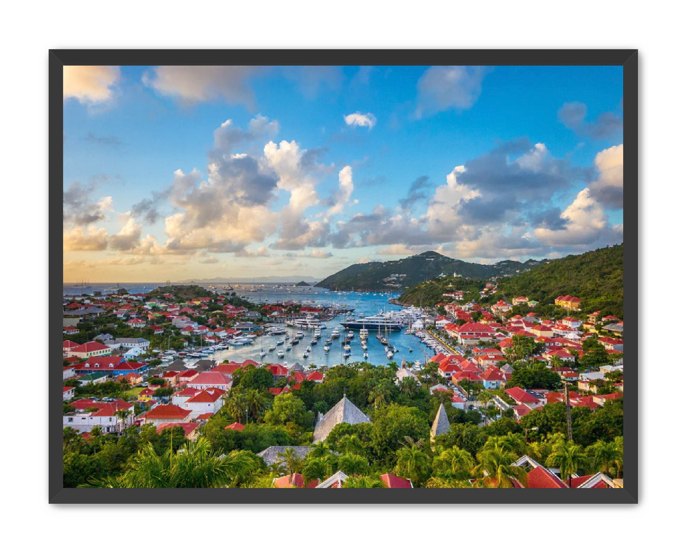 Apricus Prints 'GUSTAVIA' Apricus Art Collection