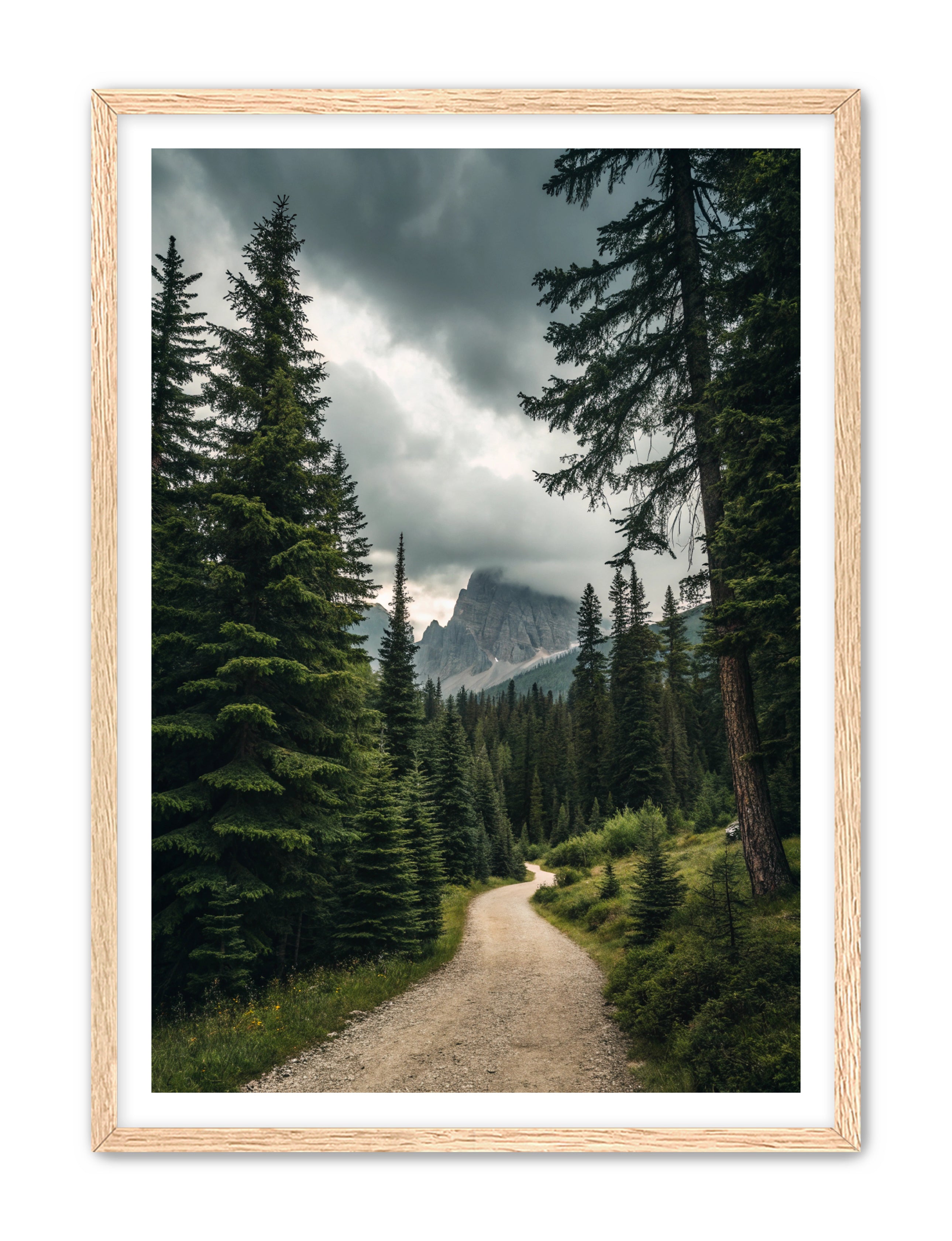 Apricus Prints 'Path to the Peaks' Apricus Art Collection