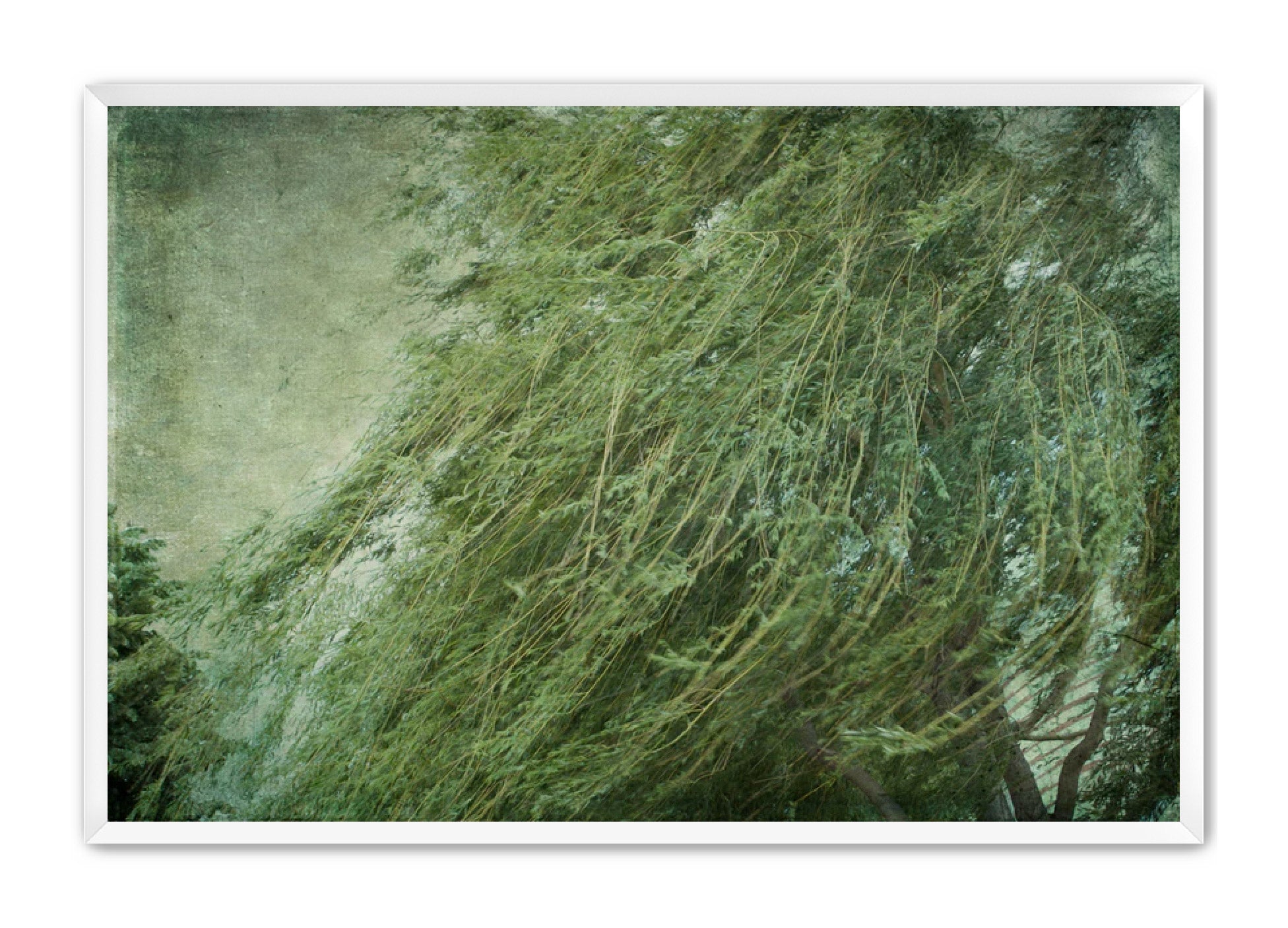 PhotoArt Prints 'TEXTURED TREES 2' Danielle Neumann Kelly