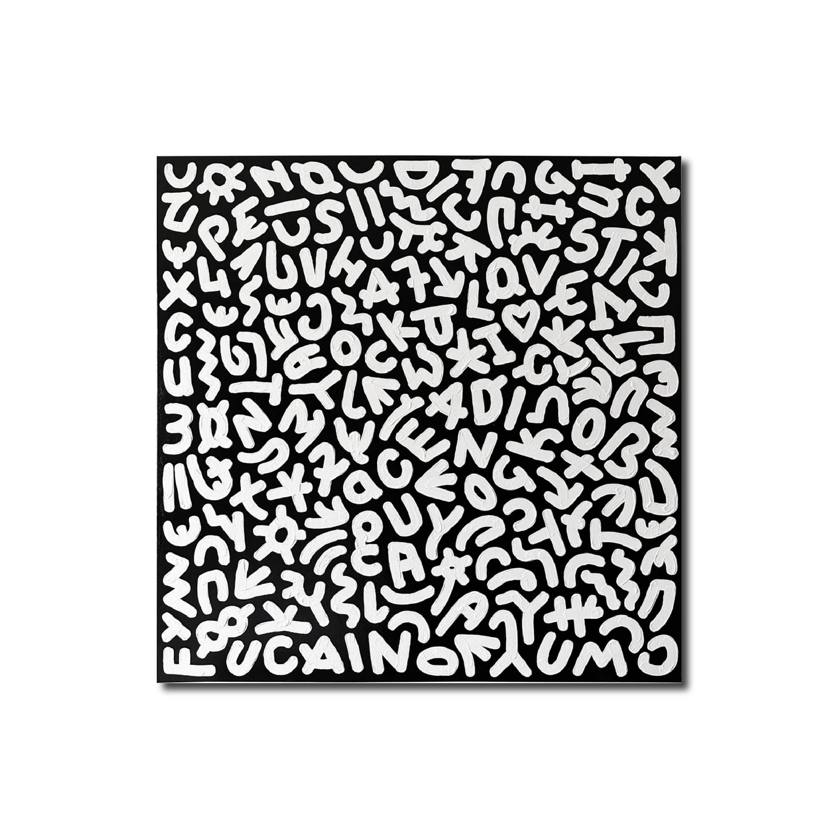 Abstract black Contemporary explicit letters monochromatic white 'DICK PIC' - Acrylic on Canvas Oliver Cain