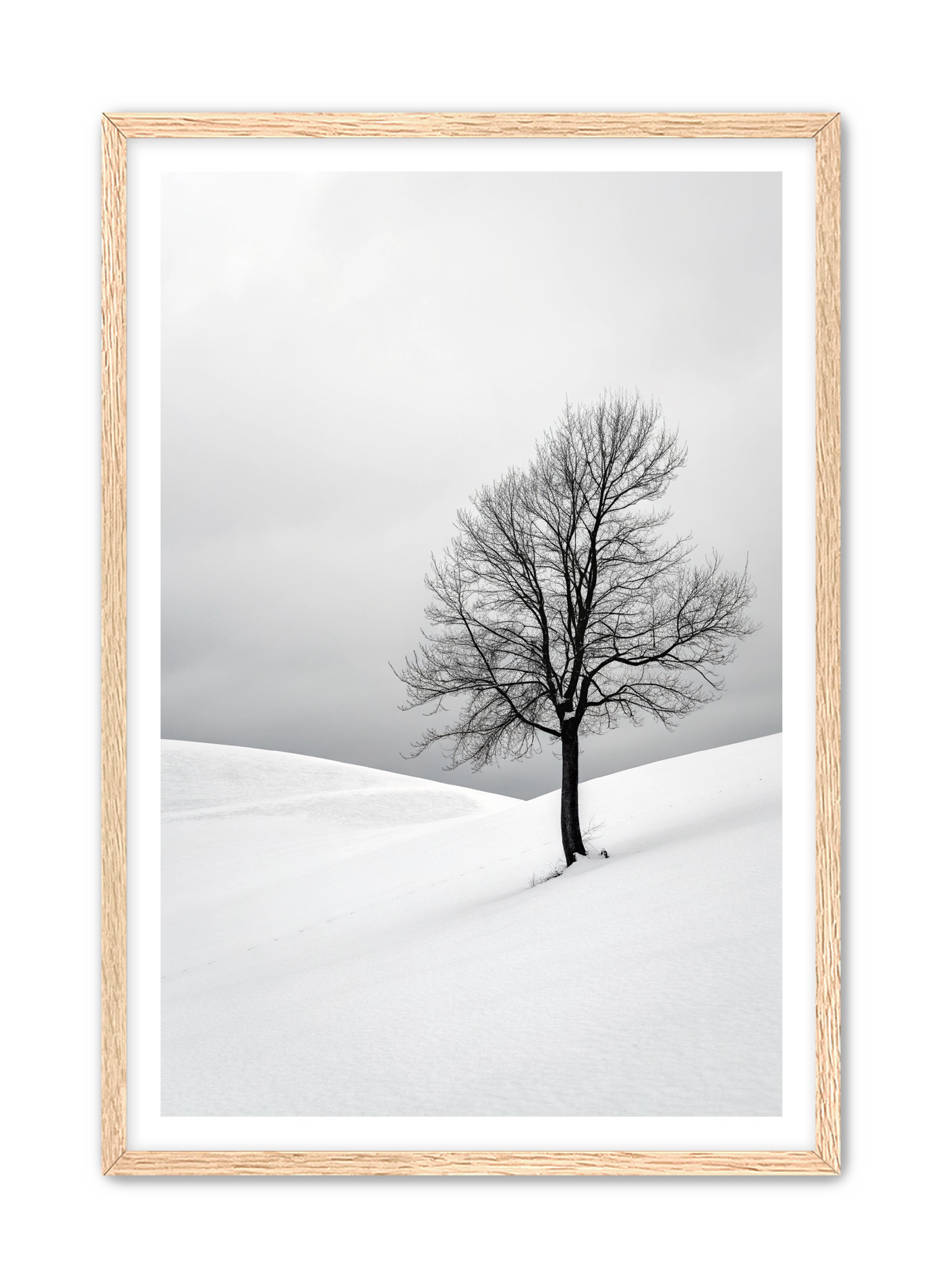 Apricus Prints 'Winter Whisper' Apricus Art Collection