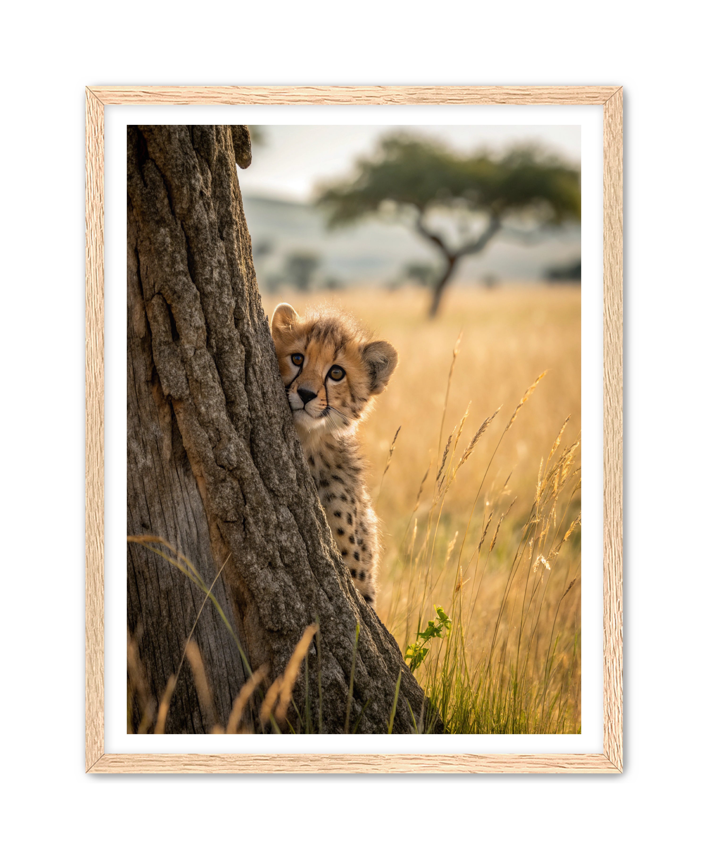 Apricus Prints 'Peekaboo' Apricus Art Collection