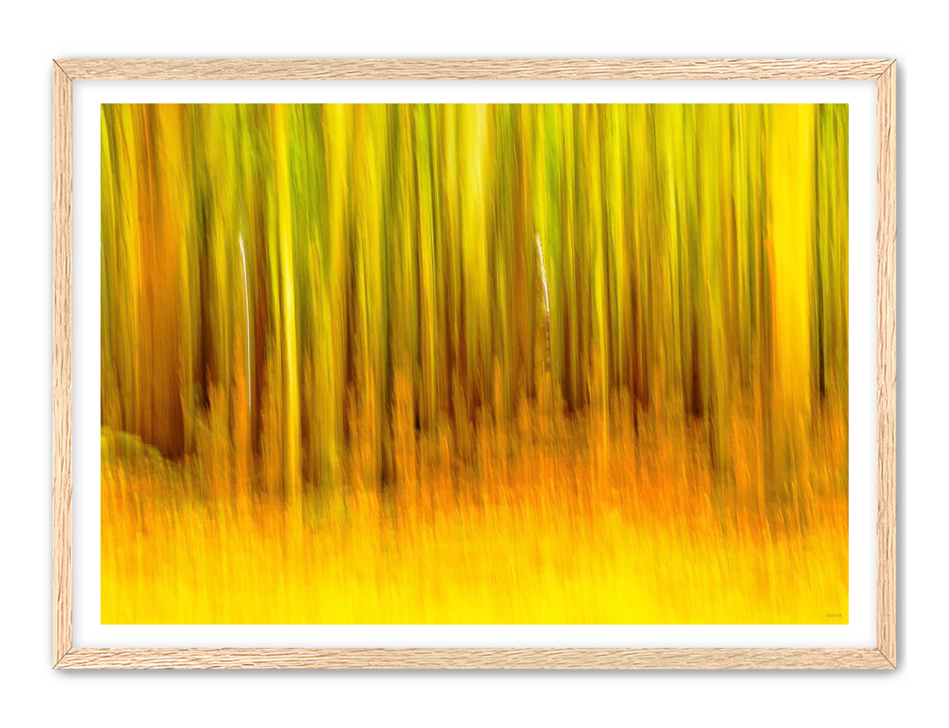 Abstract Photography Prints 'The forest' Aline Karagozlu