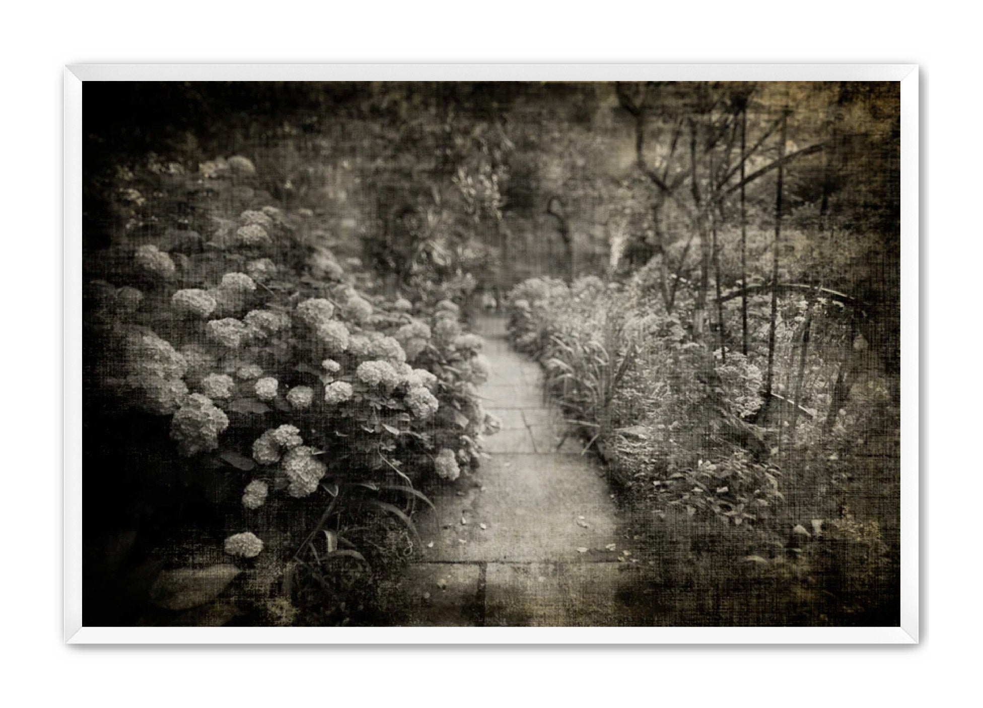 PhotoArt Prints 'PARK PATH 2' Danielle Neumann Kelly