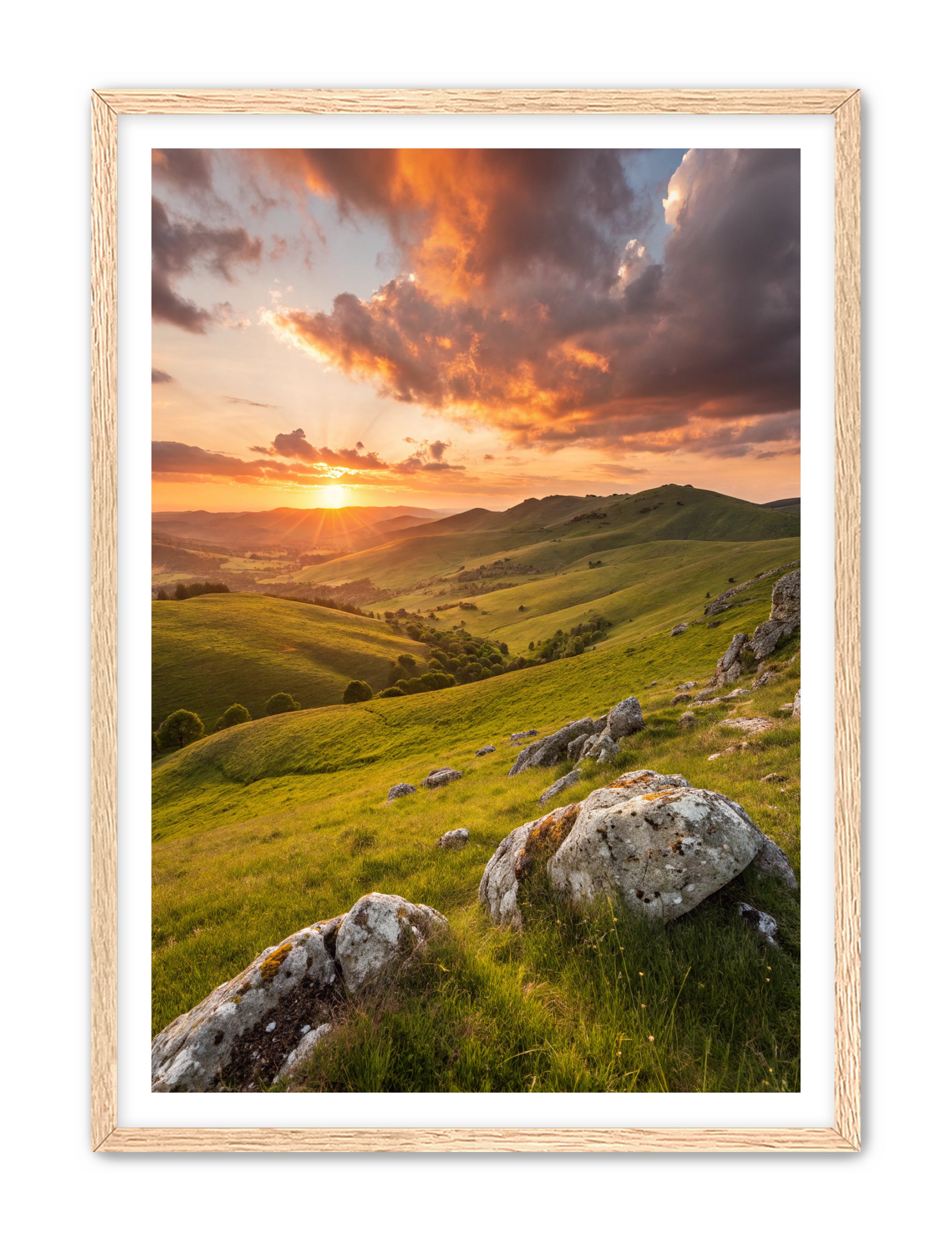 Apricus Prints 'Highland Glow' Apricus Art Collection