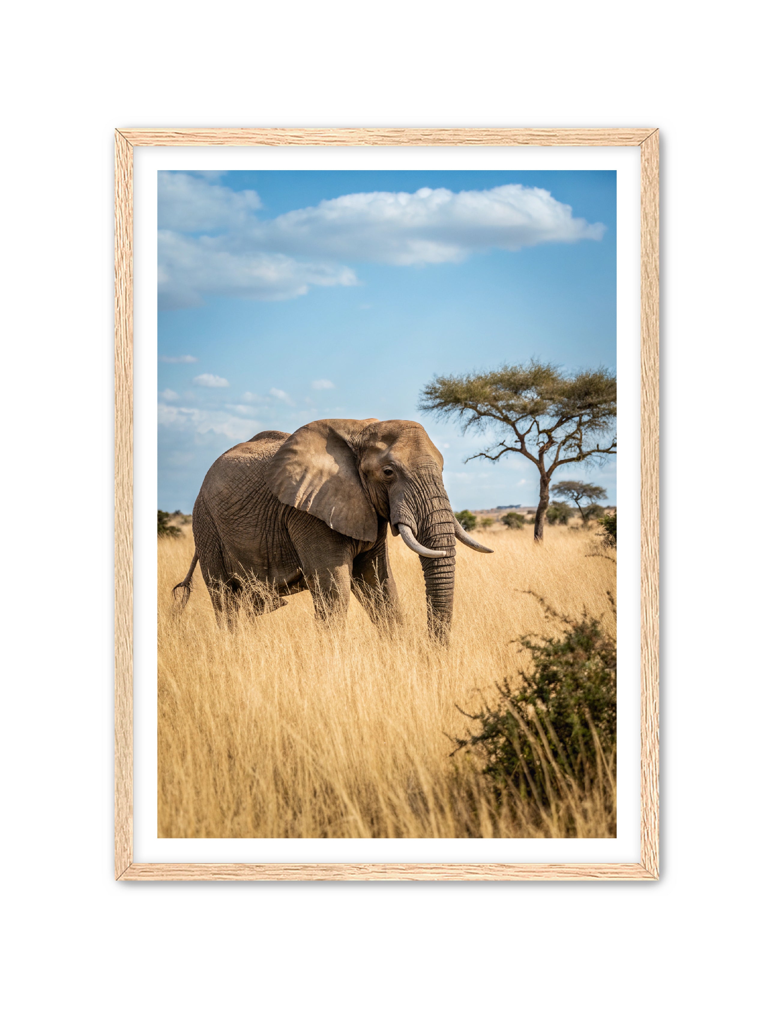 Apricus Prints 'Ellie, The Gentle Giant' Apricus Art Collection