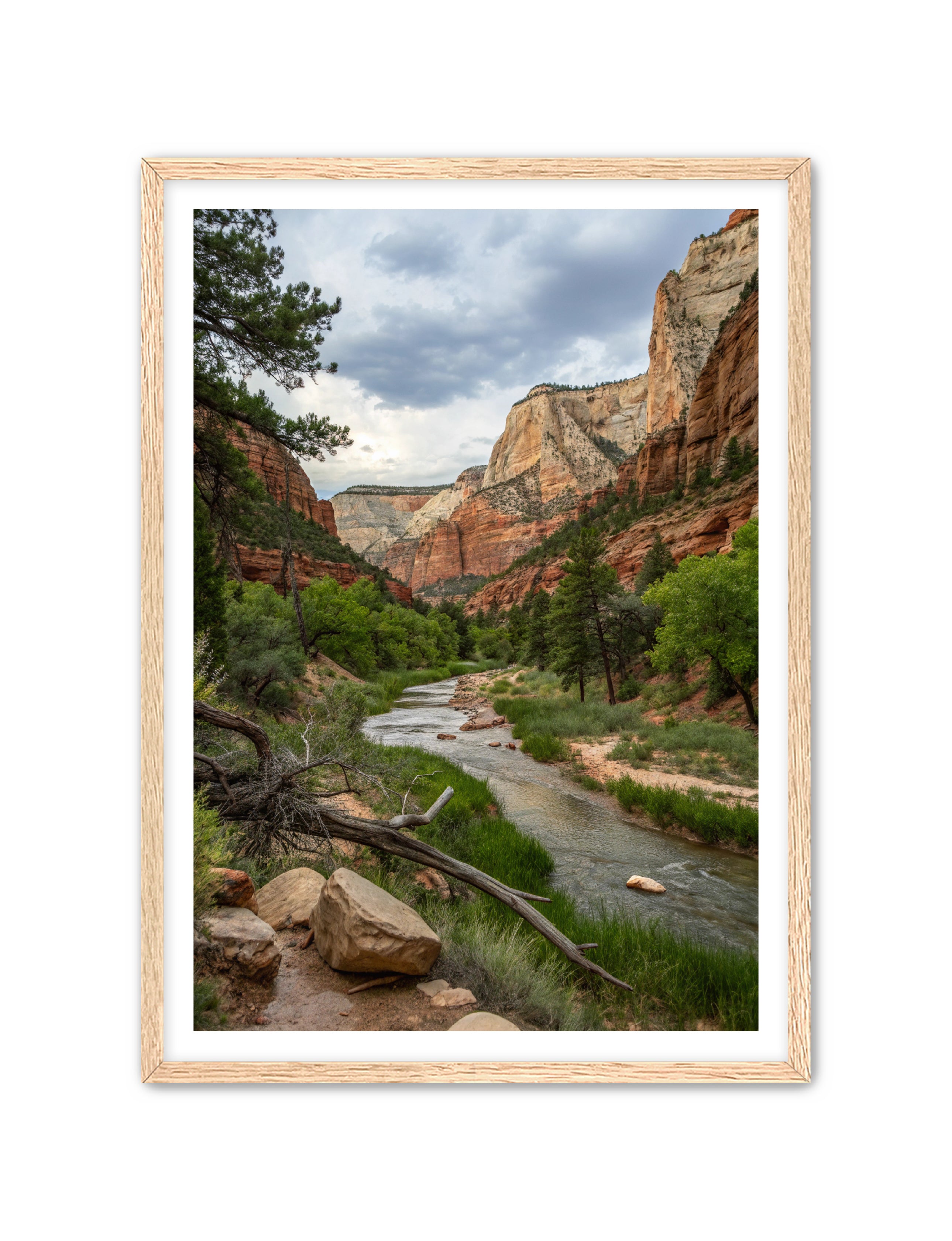 Apricus Prints Vaquero 'Sitting Duck' Apricus Art Collection