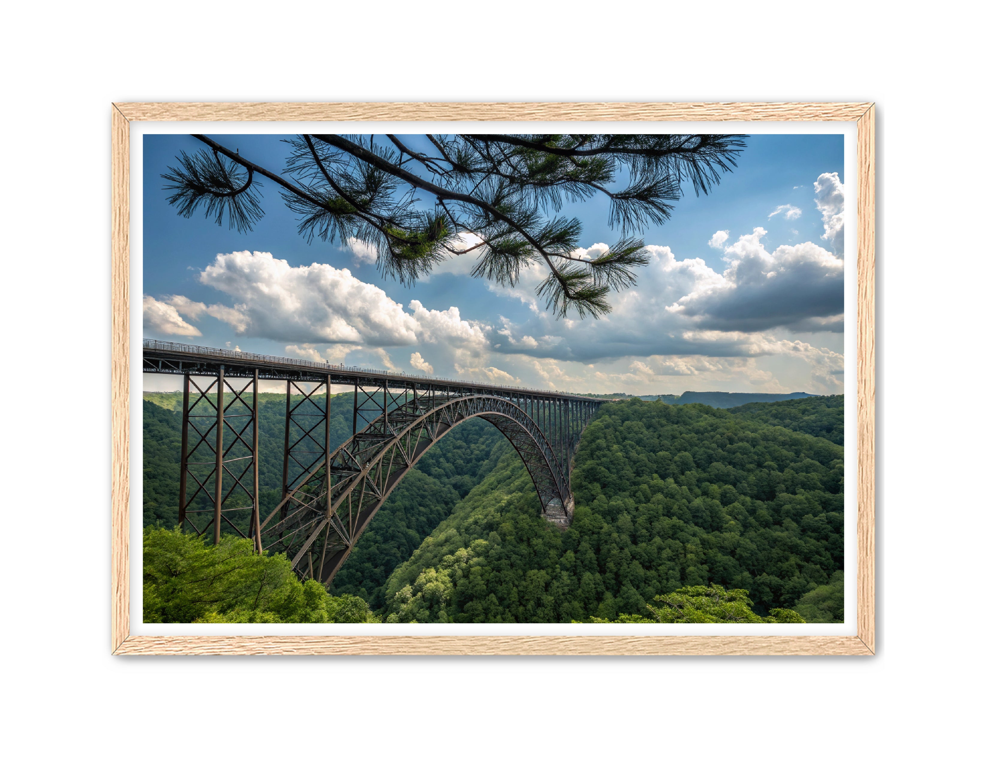 Apricus Prints 'Wild & Wonderful, West Virginia' Apricus Art Collection