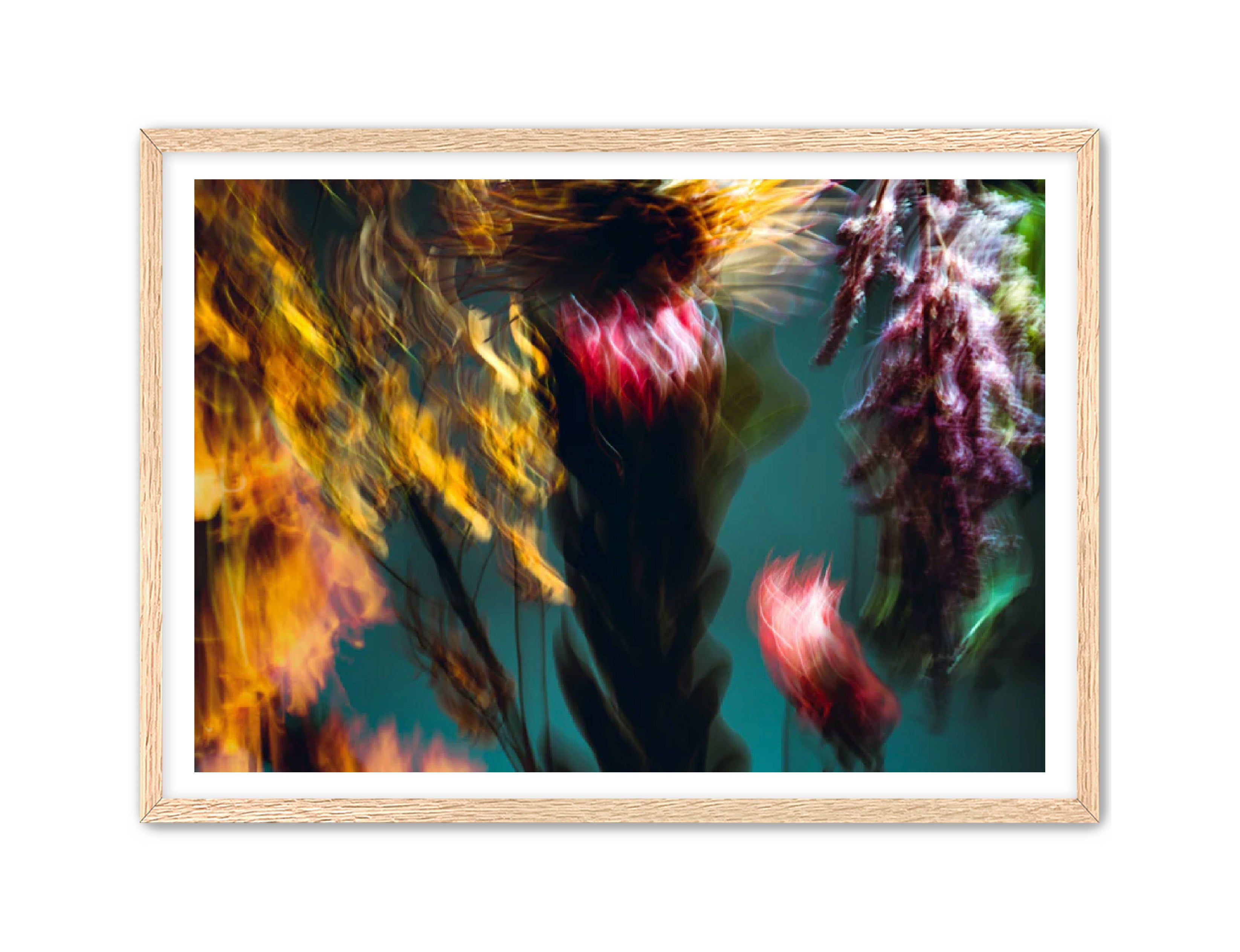 Photography Prints 'Fleur Bleur' Reed Decker