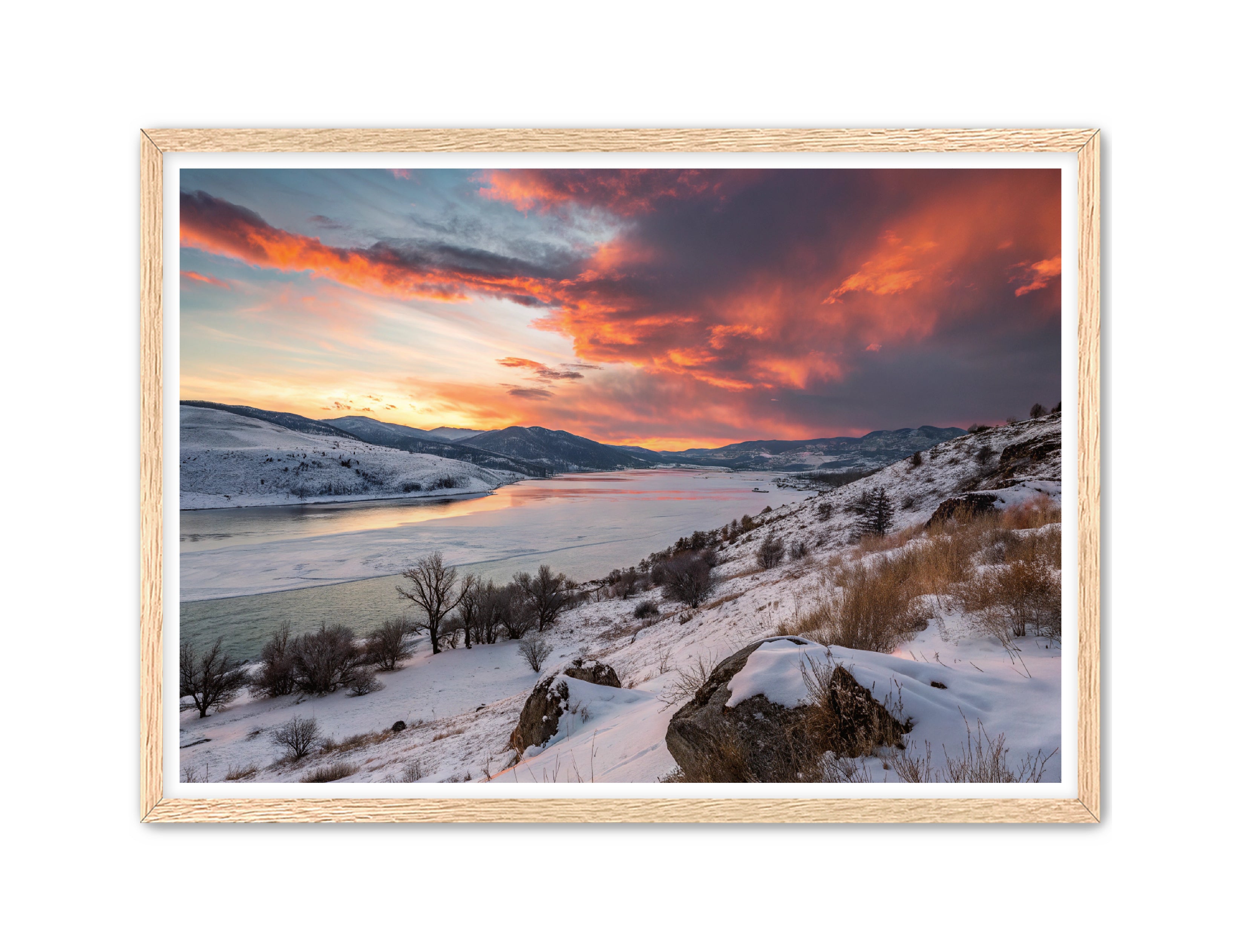 Apricus Prints 'Winter Reds' Apricus Art Collection