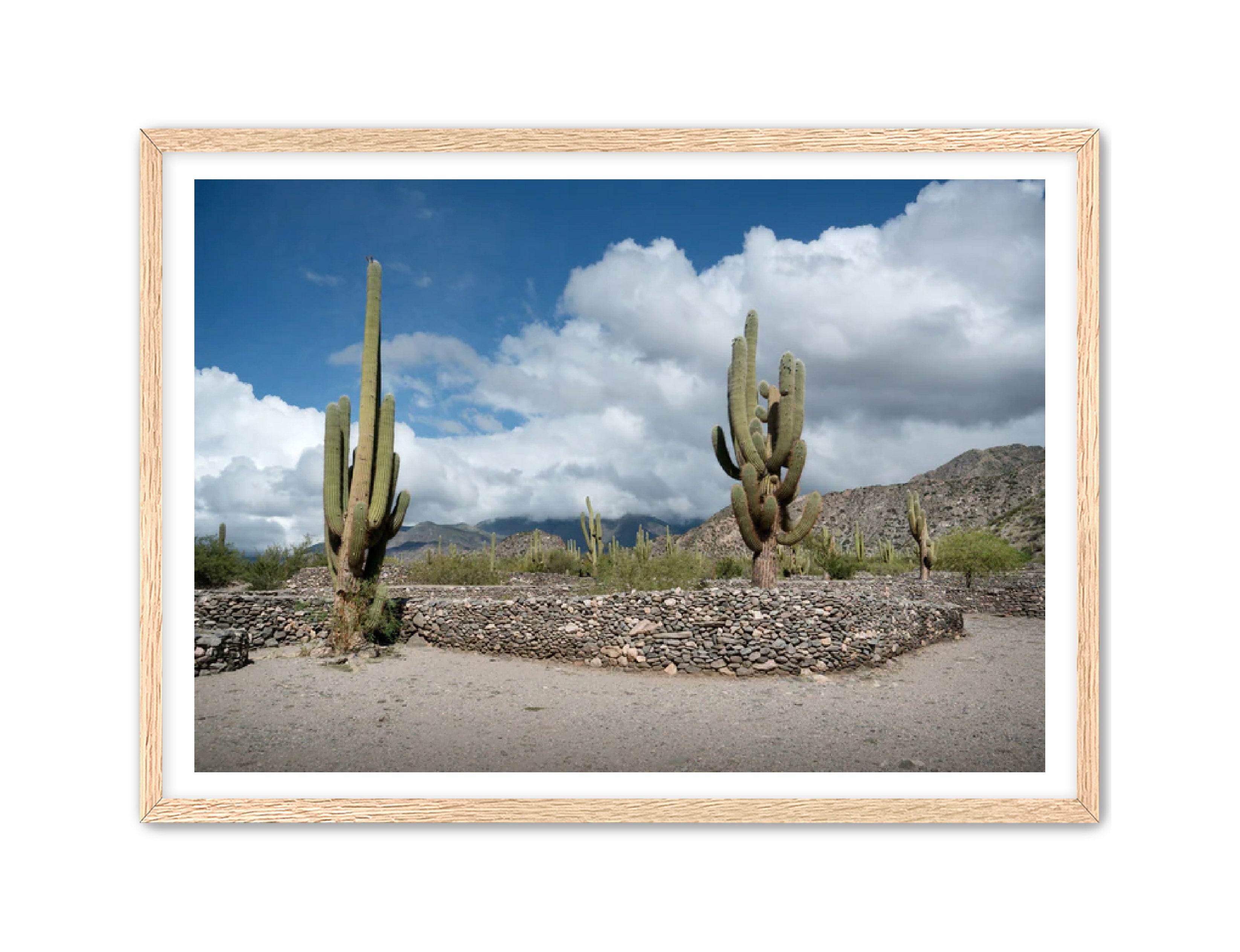 Landscape Photography Prints 'Cactus on the way' Aline Karagozlu