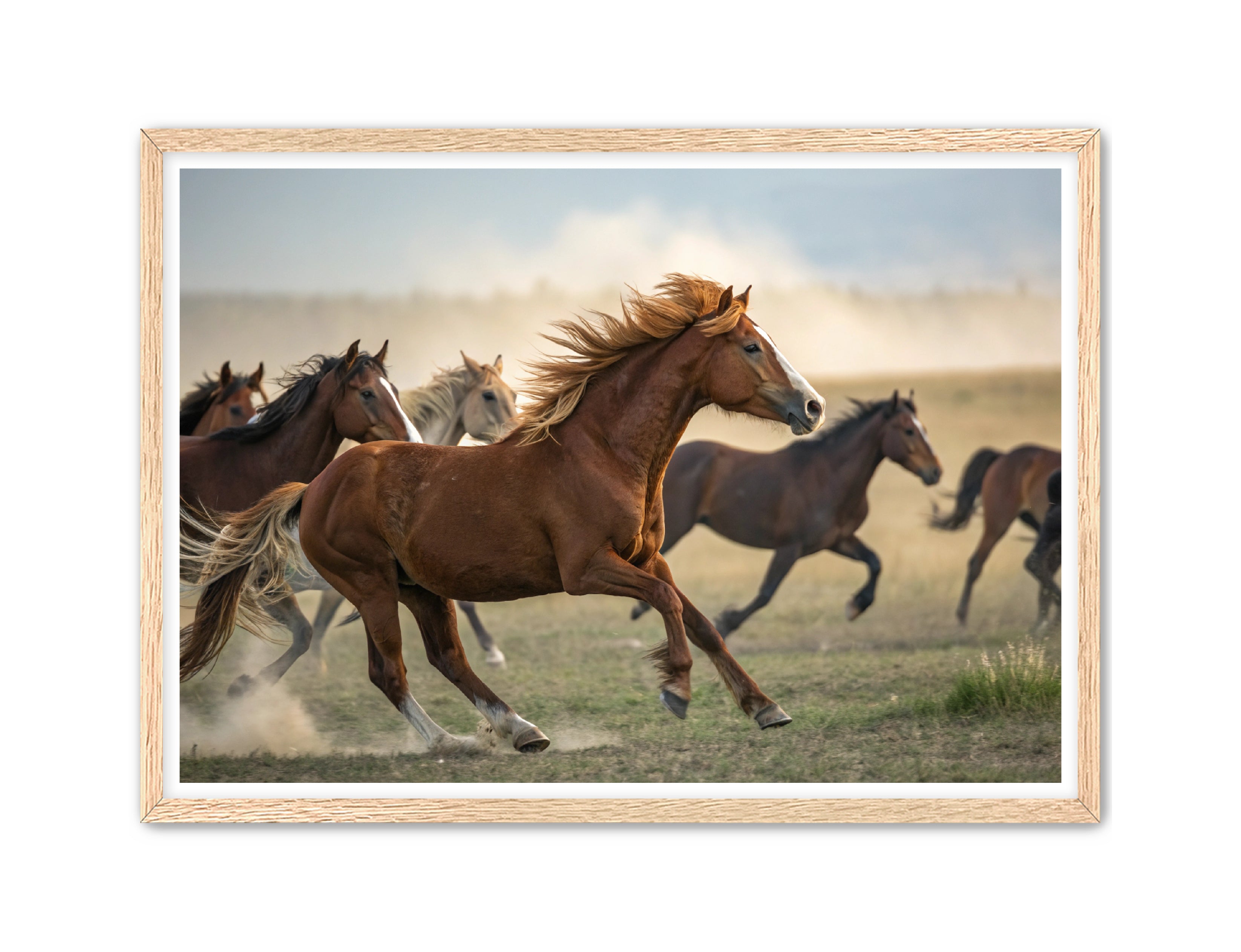 Apricus Prints Vaquero 'Stampede Leader' Apricus Art Collection