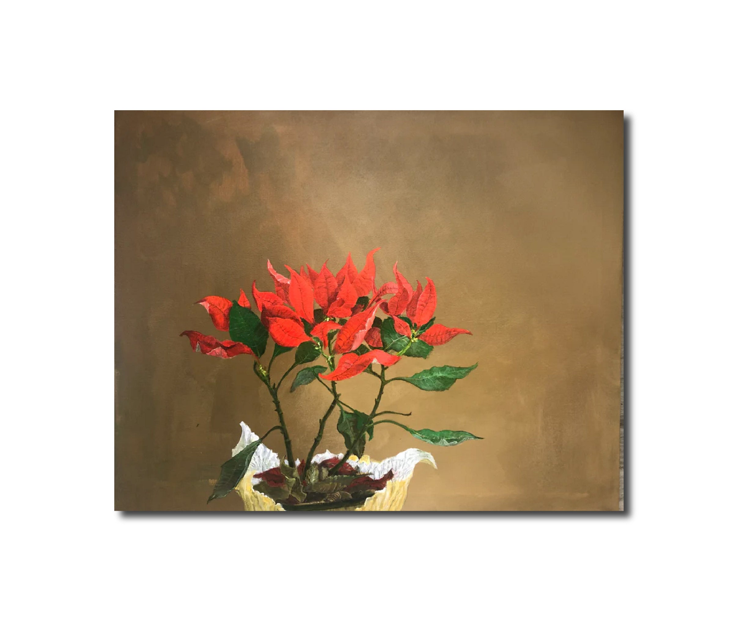 Contemporary 'JANUARY POINSETTIA' - Acrylic Paint on Canvas Stephen Barber