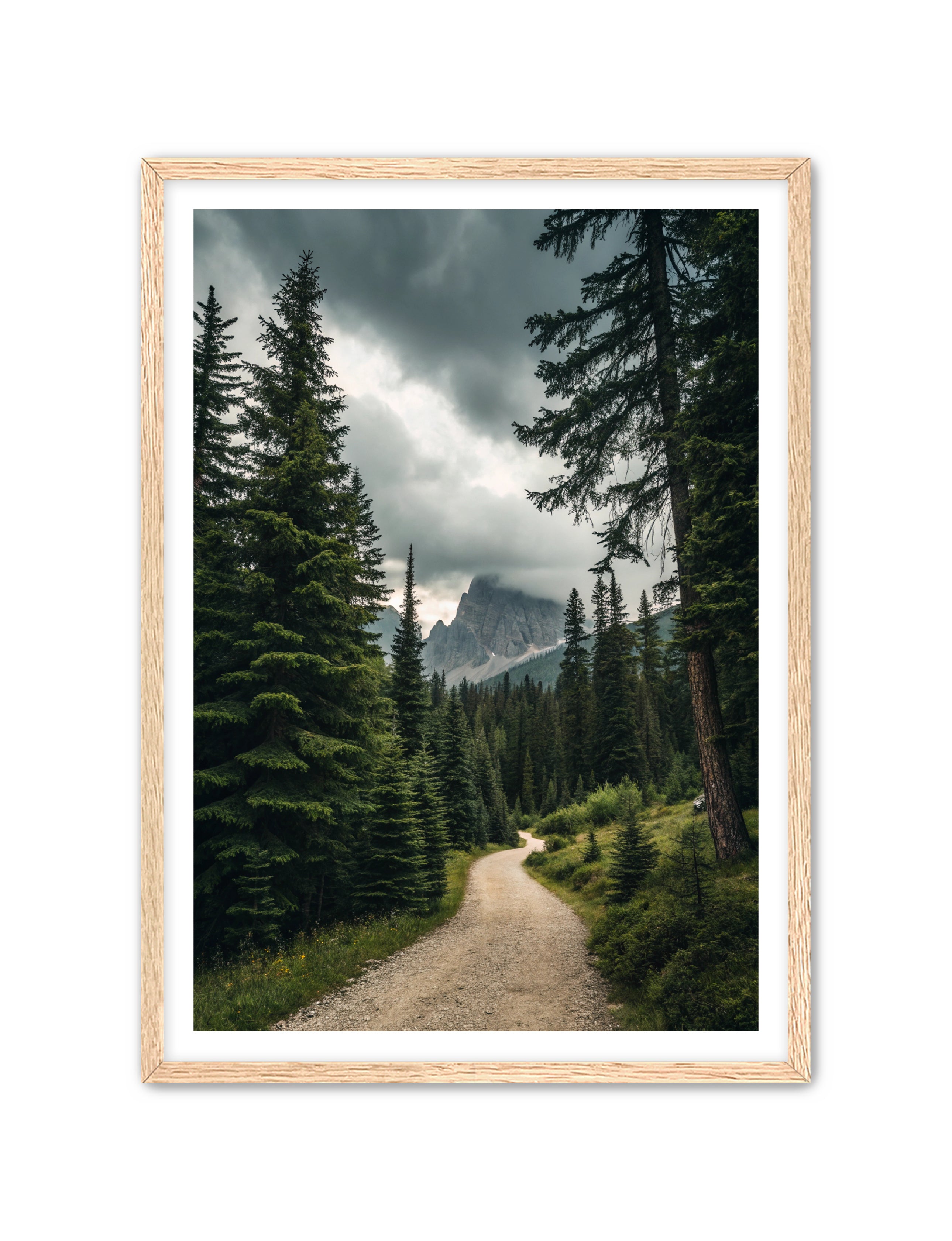 Apricus Prints 'Path to the Peaks' Apricus Art Collection