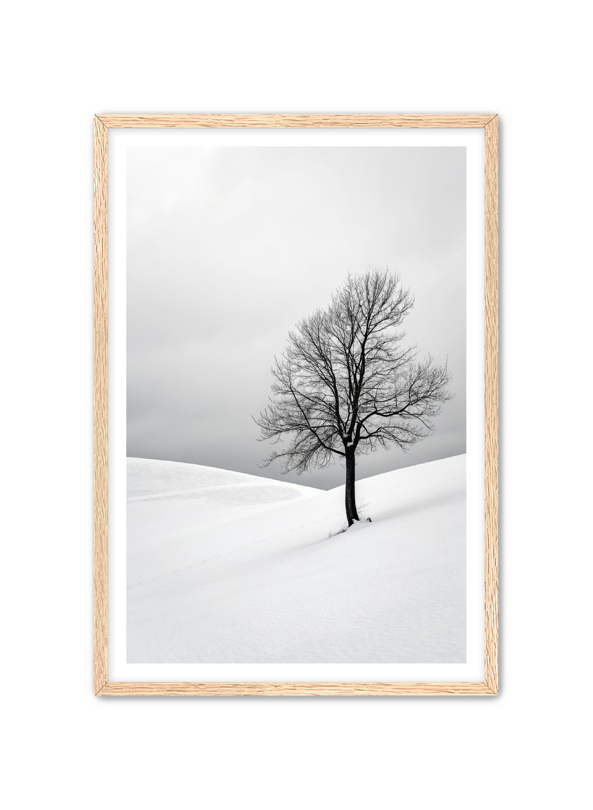 Apricus Prints 'Winter Whisper' Apricus Art Collection