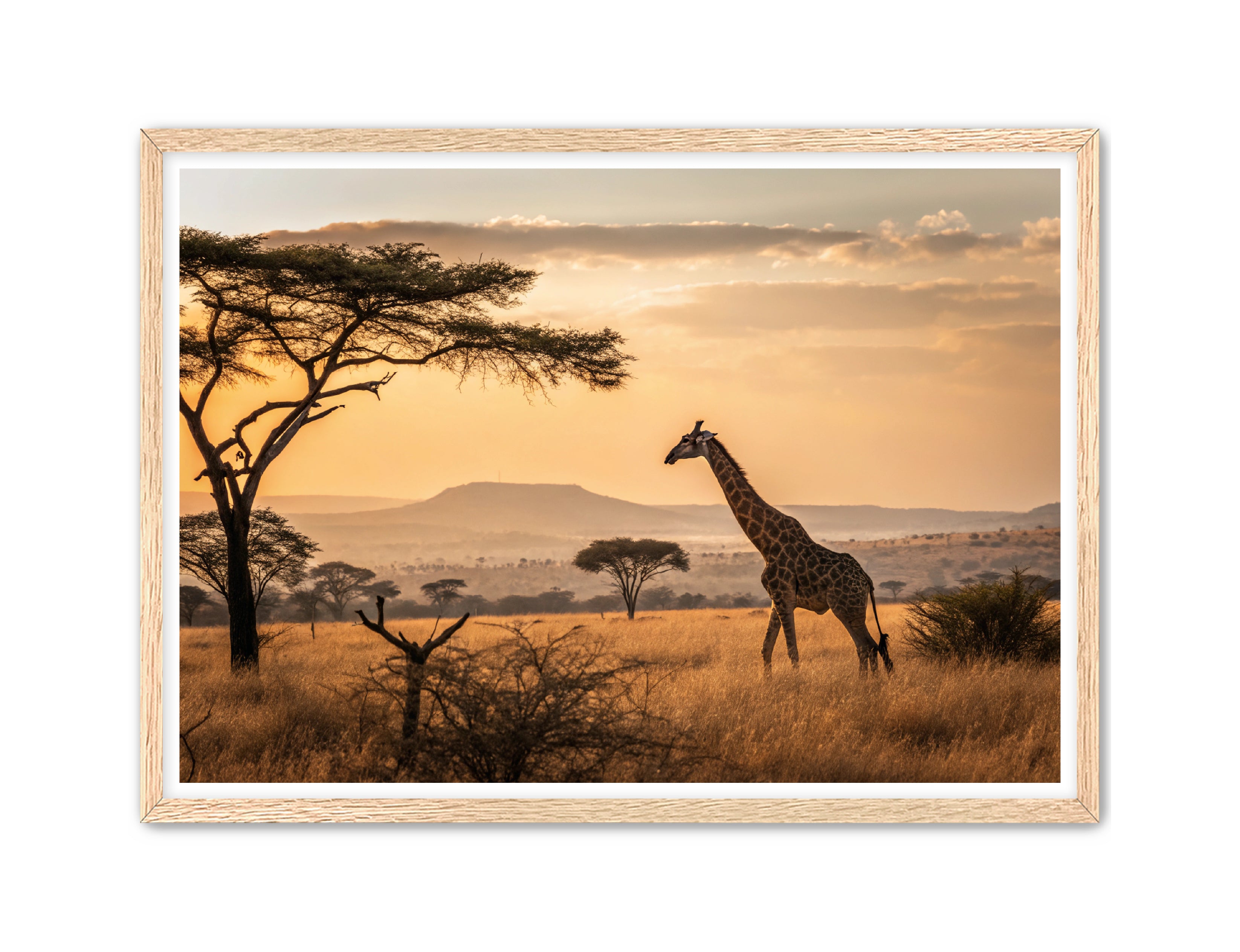 Apricus Prints 'Homeward Bound' Apricus Art Collection