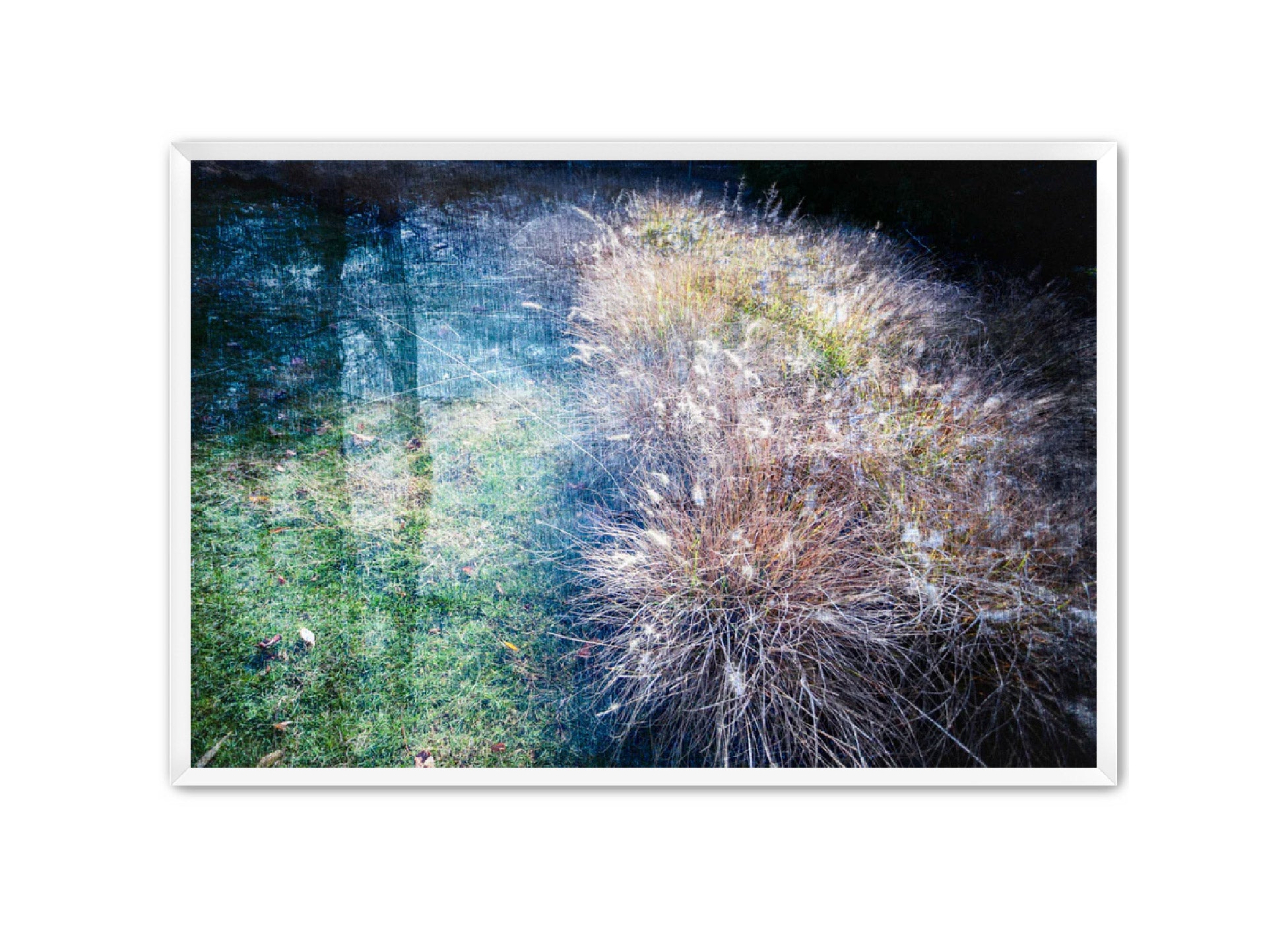 PhotoArt Prints 'GRASSES' Danielle Neumann Kelly