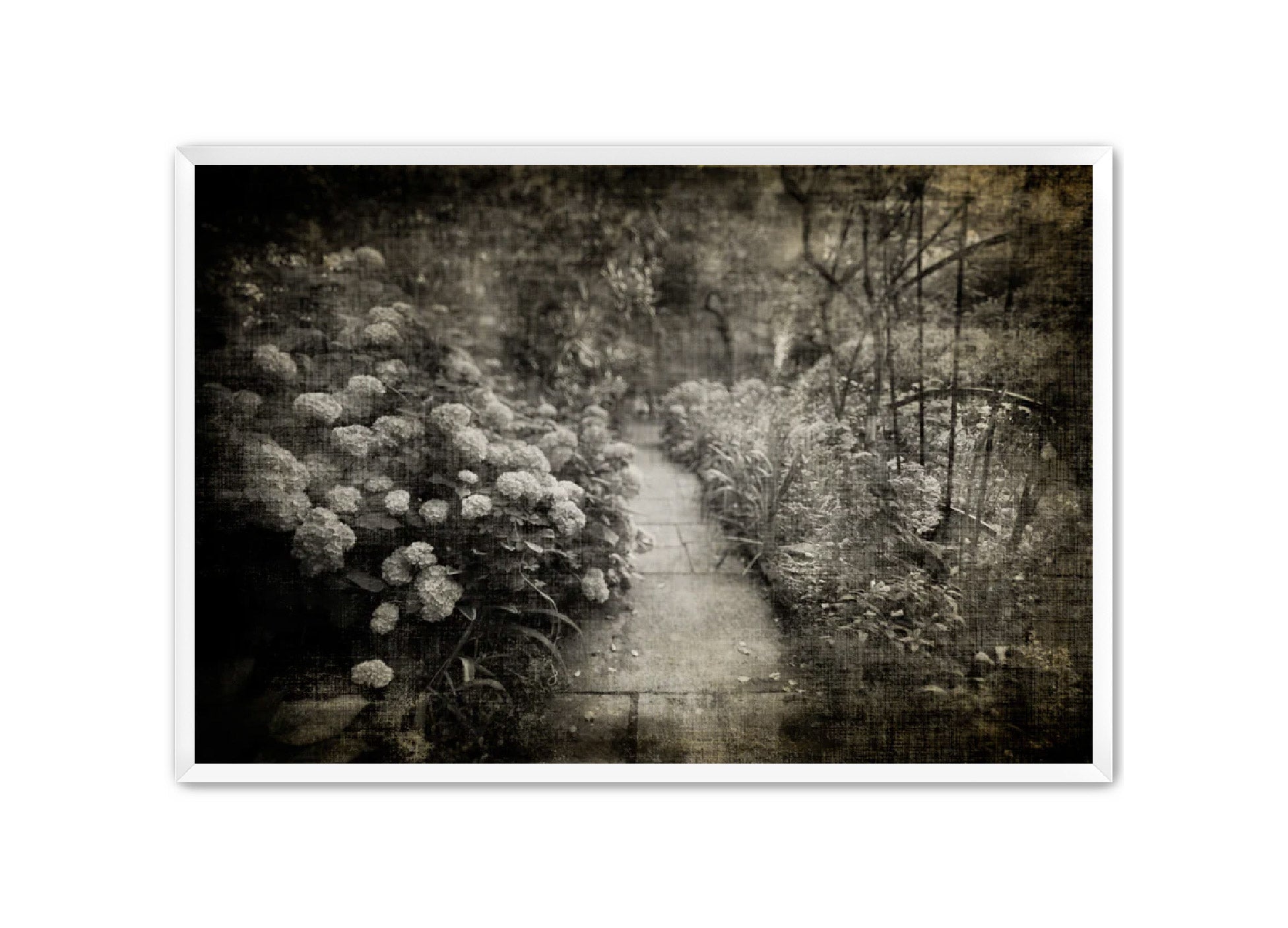 PhotoArt Prints 'PARK PATH 2' Danielle Neumann Kelly