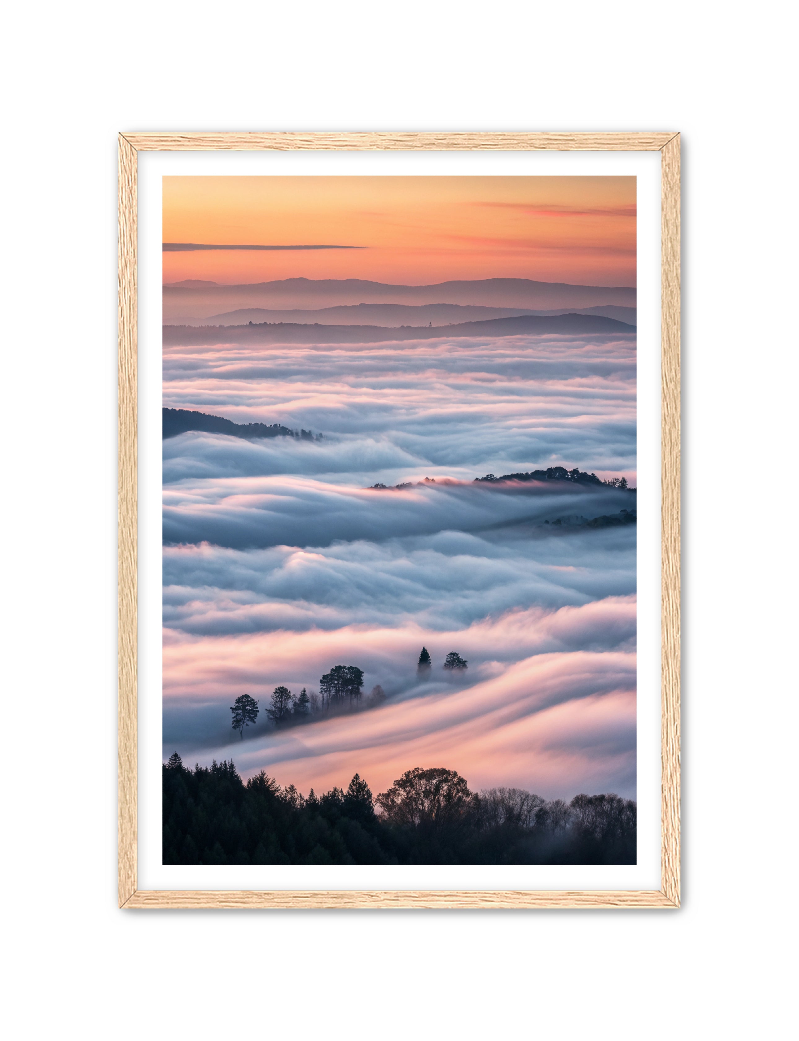 Apricus Prints 'Clouded Canopy' Apricus Art Collection