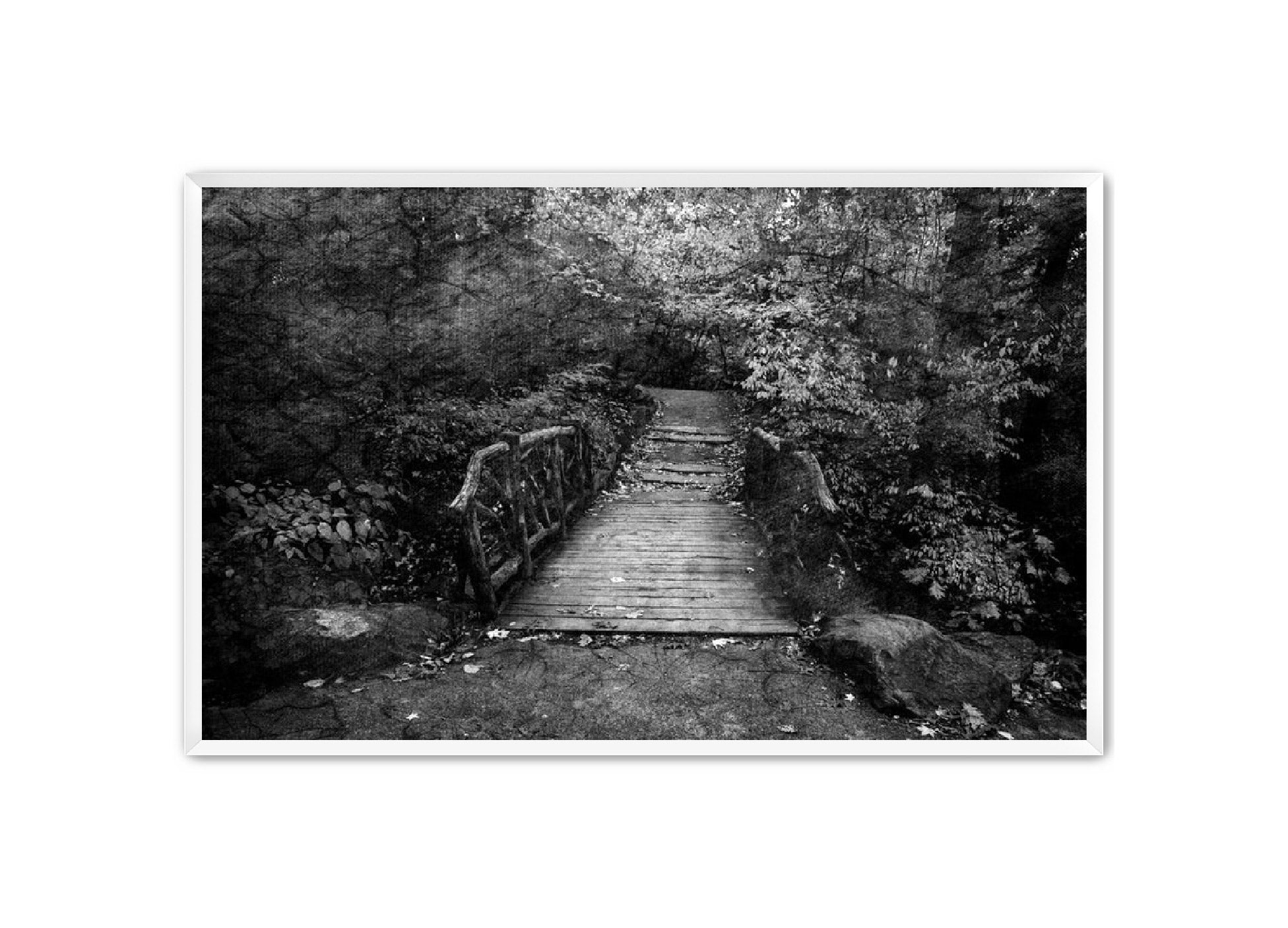 PhotoArt Prints 'PARK PATH' Danielle Neumann Kelly