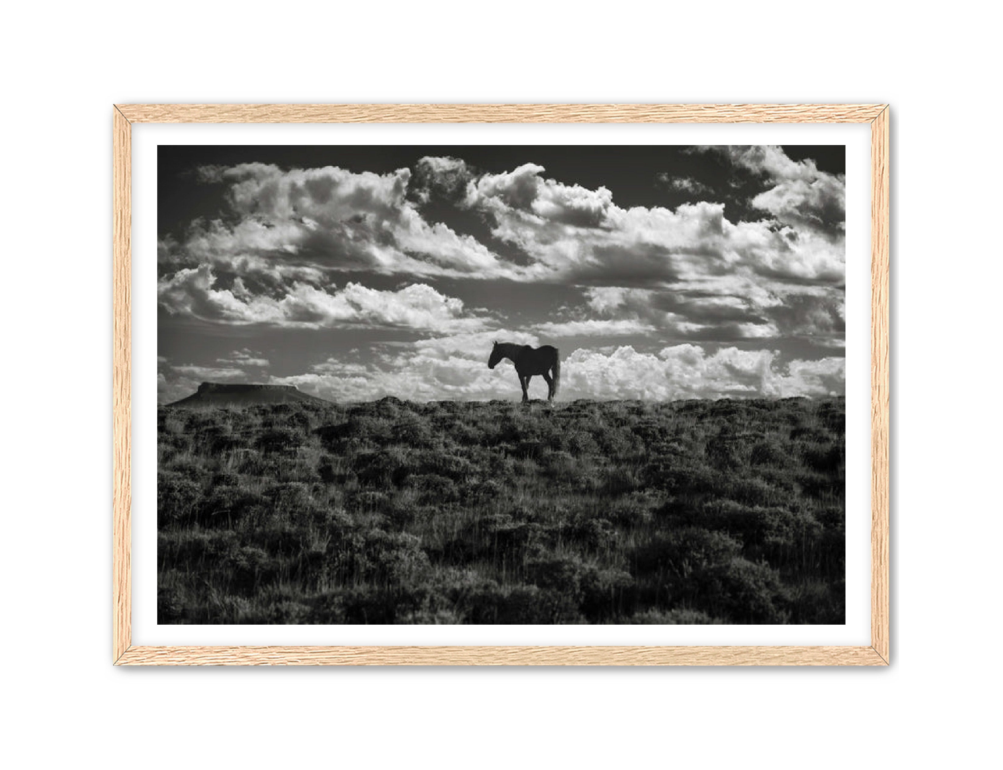 Photography Prints 'Open Range' Reed Decker