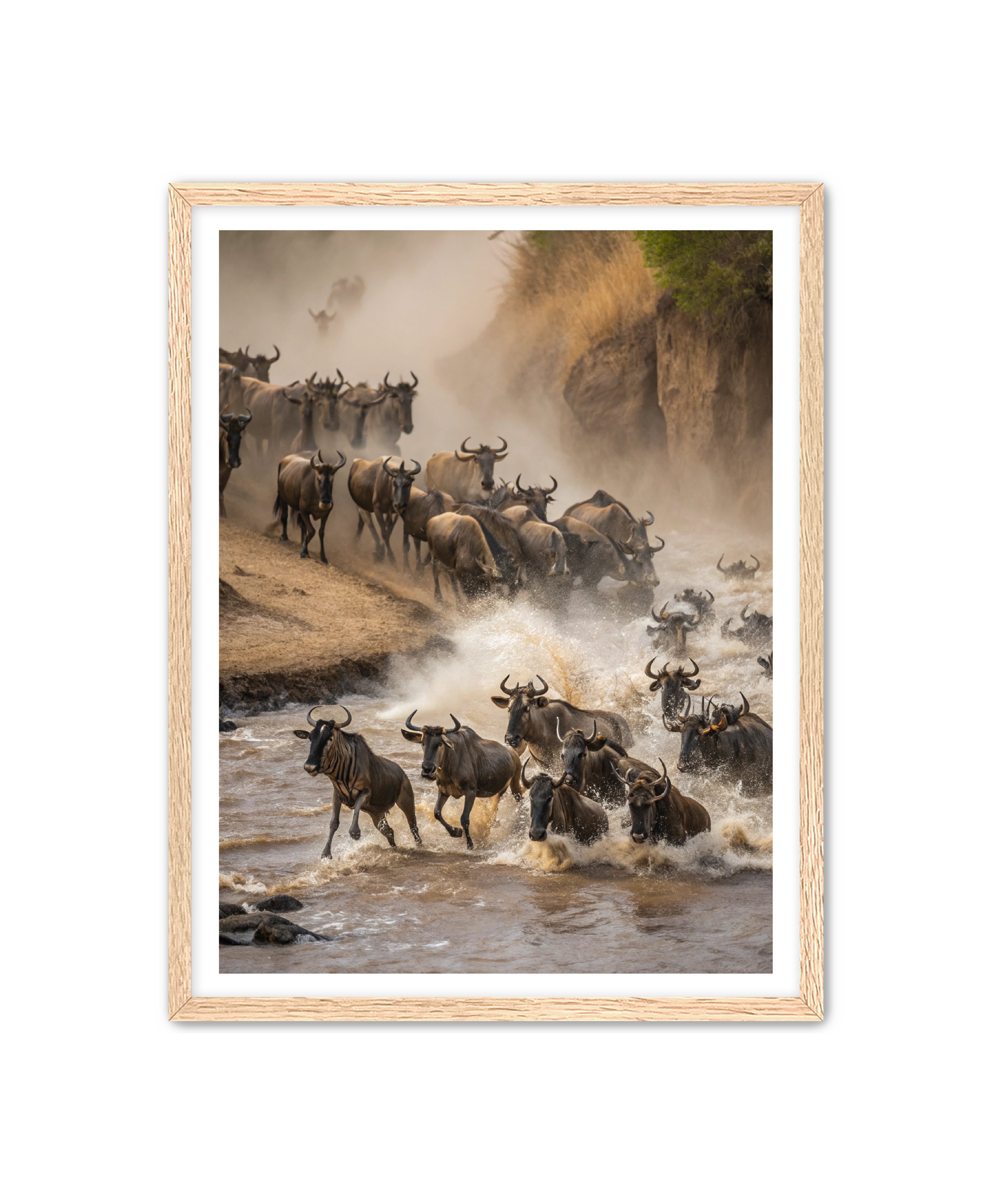 Apricus Prints 'Stampede Crossing' Apricus Art Collection