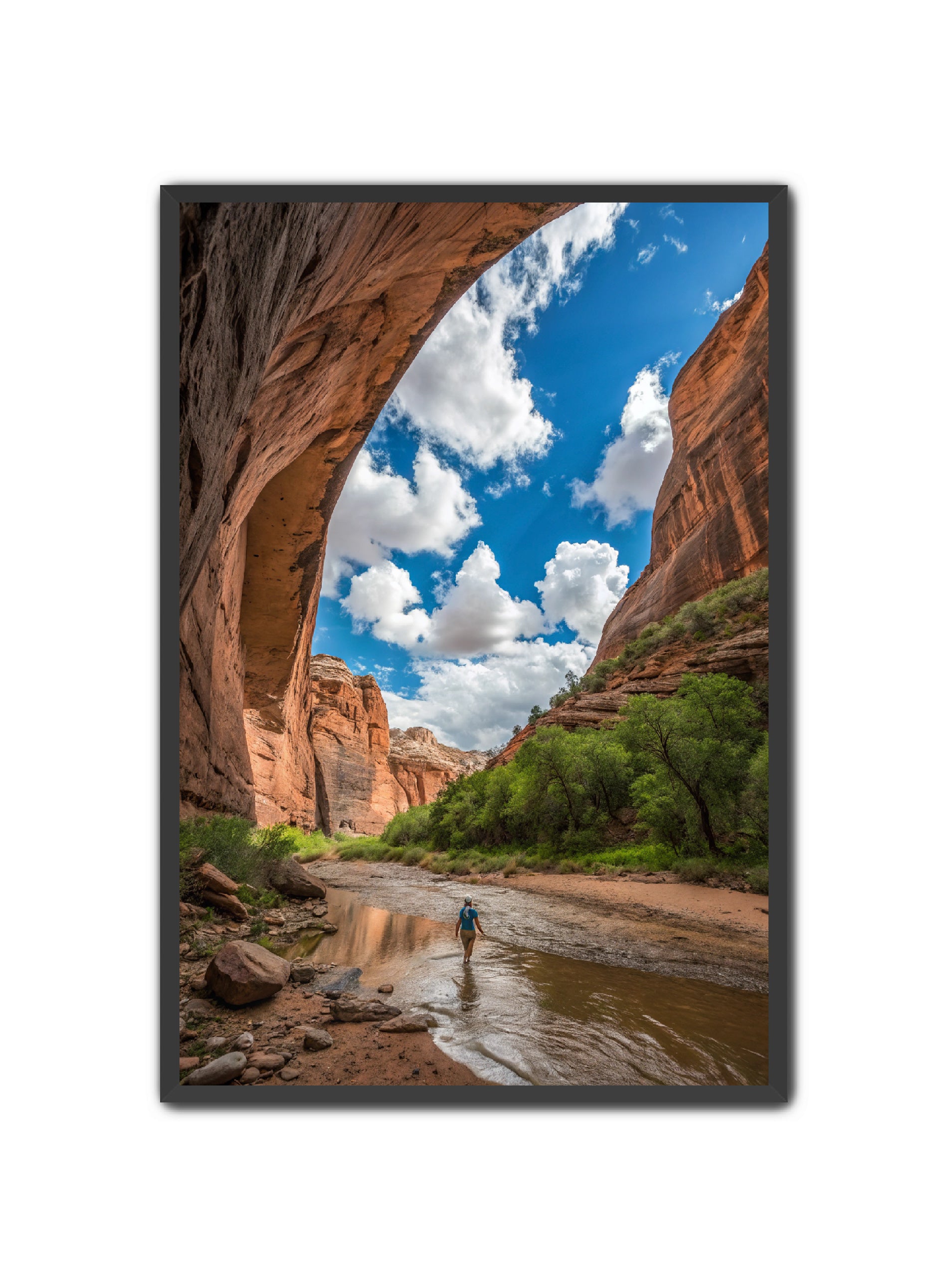 Apricus Prints 'Arches Creek' Apricus Art Collection