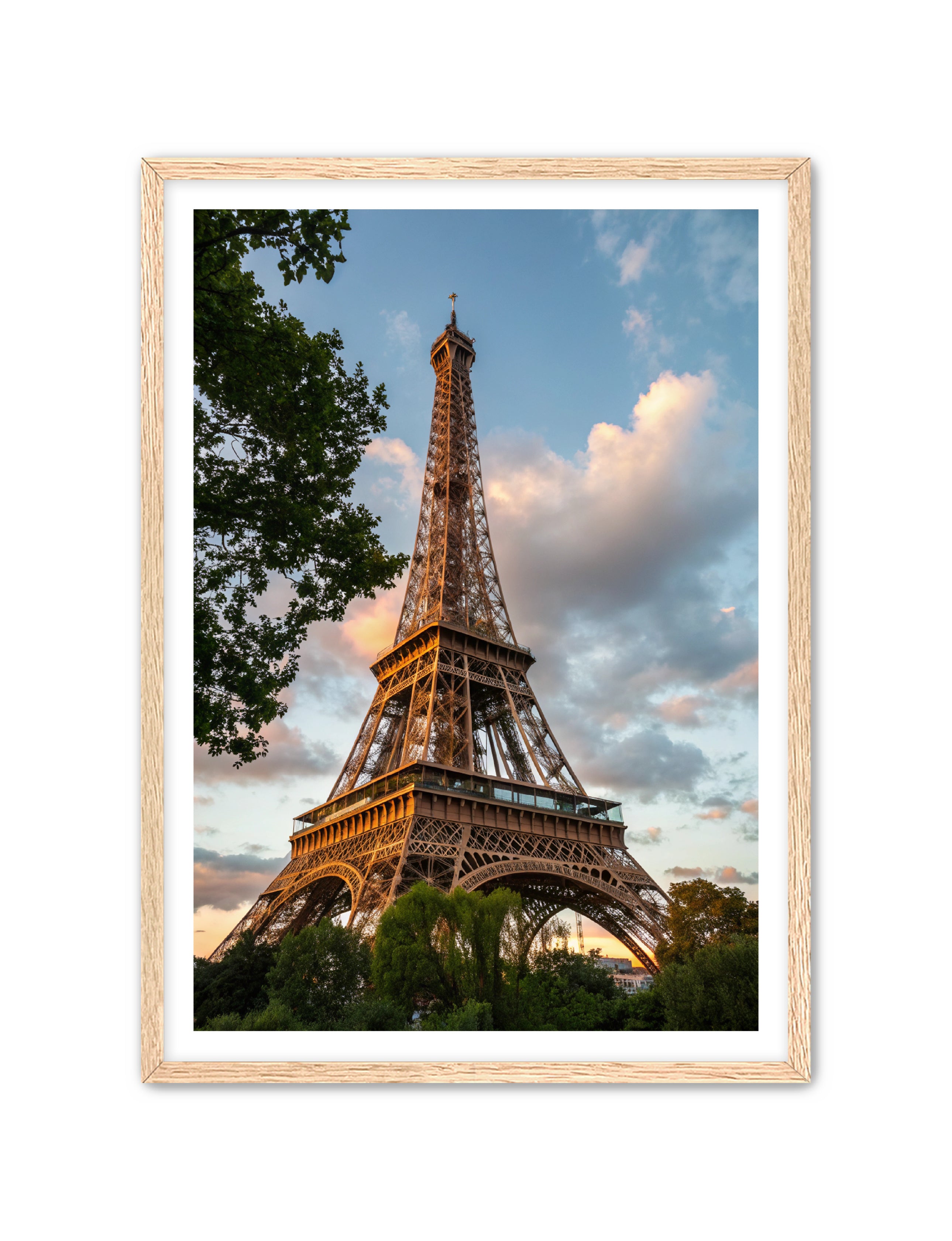 Apricus Prints 'Paris Bloom' Apricus Art Collection