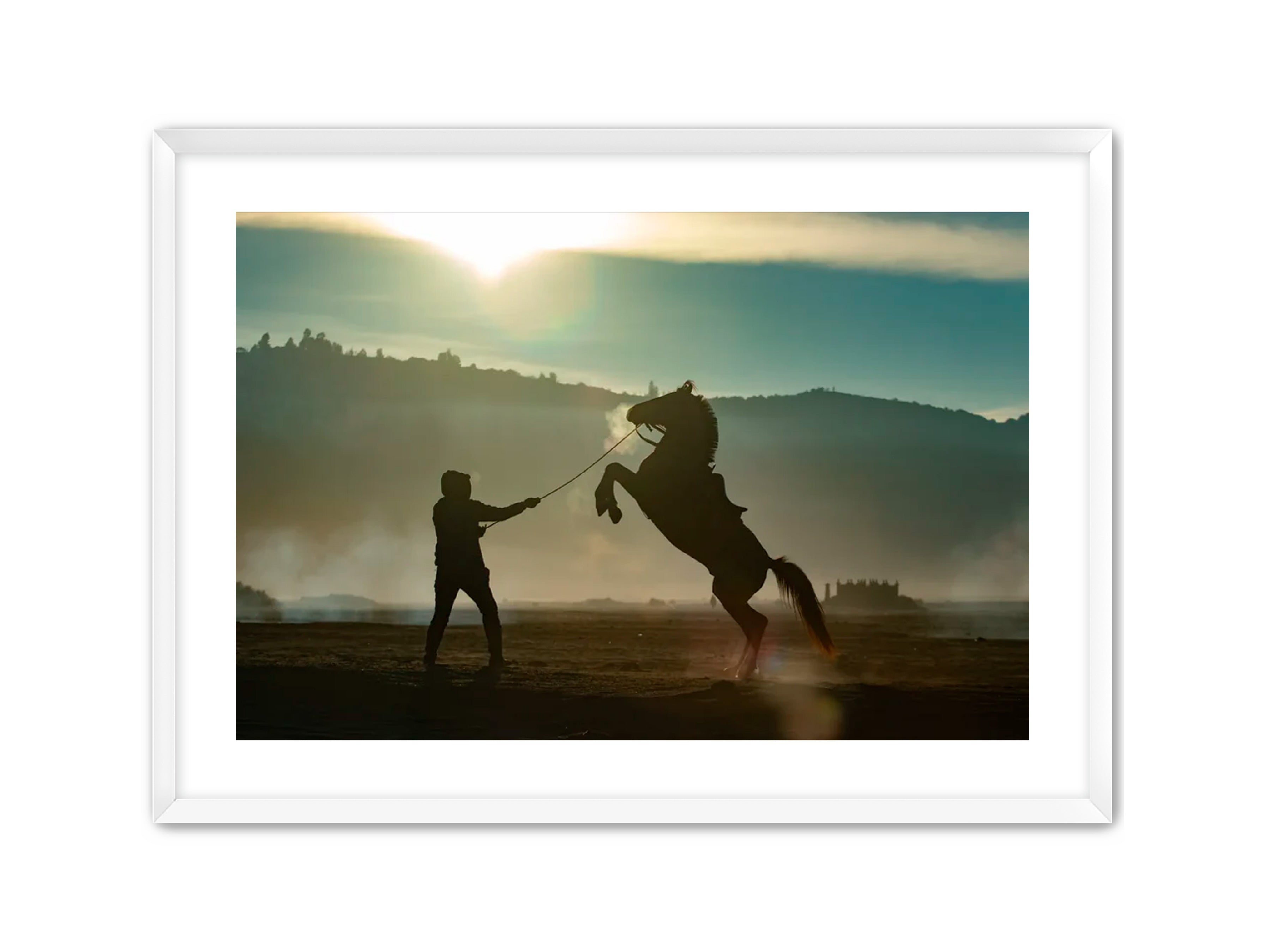 Apricus Prints 'SUNRISE SHOWDOWN' Apricus Art Collection