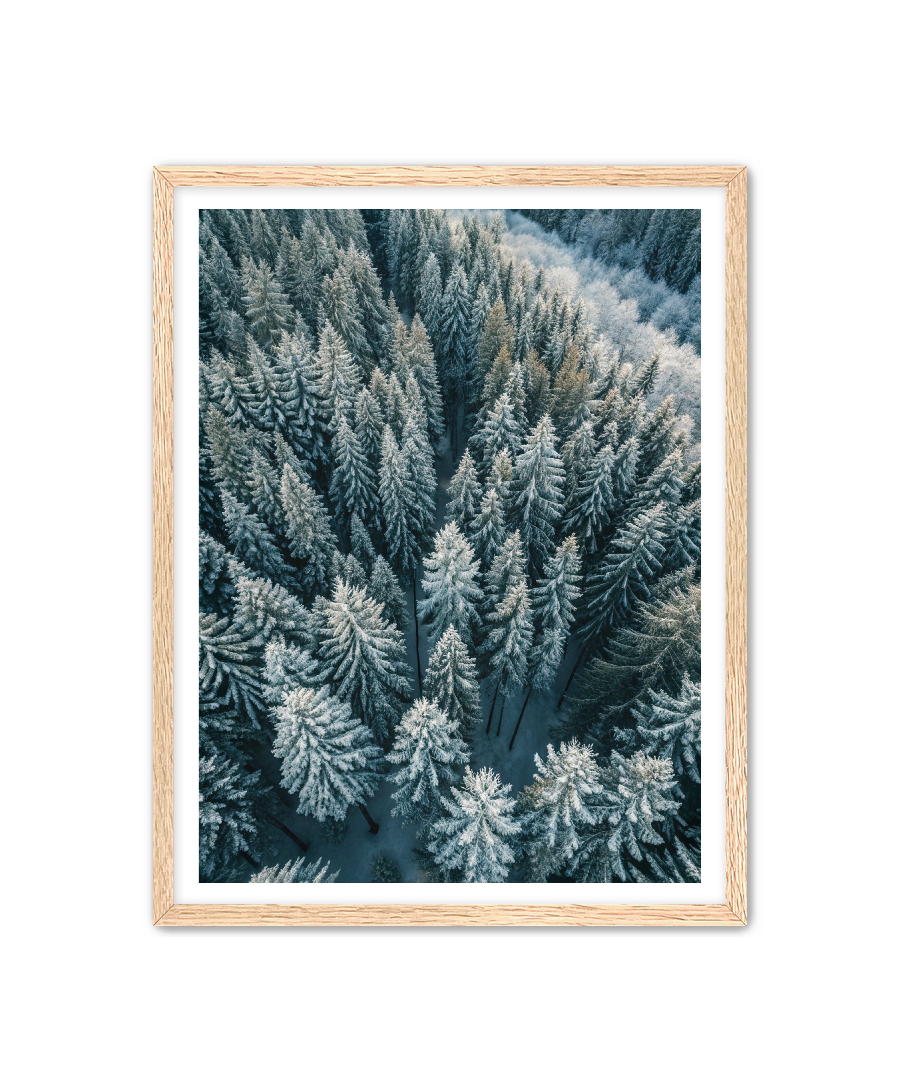 Apricus Prints Nature 'Winter Veins' Apricus Art Collection