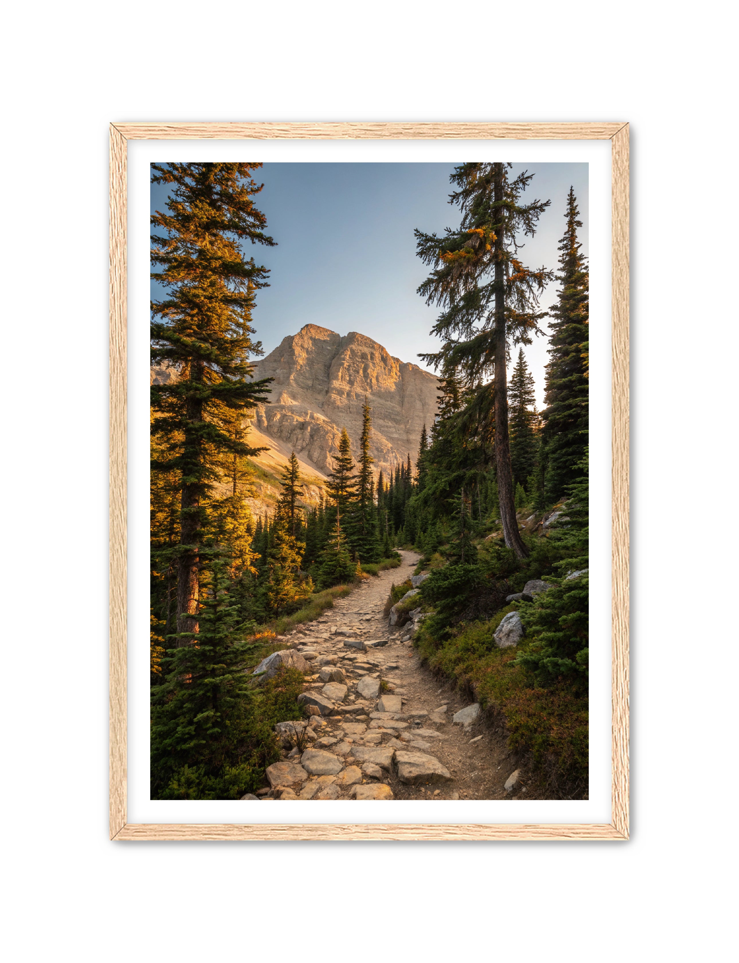 Apricus Prints 'Rocky Mountain Way' Apricus Art Collection