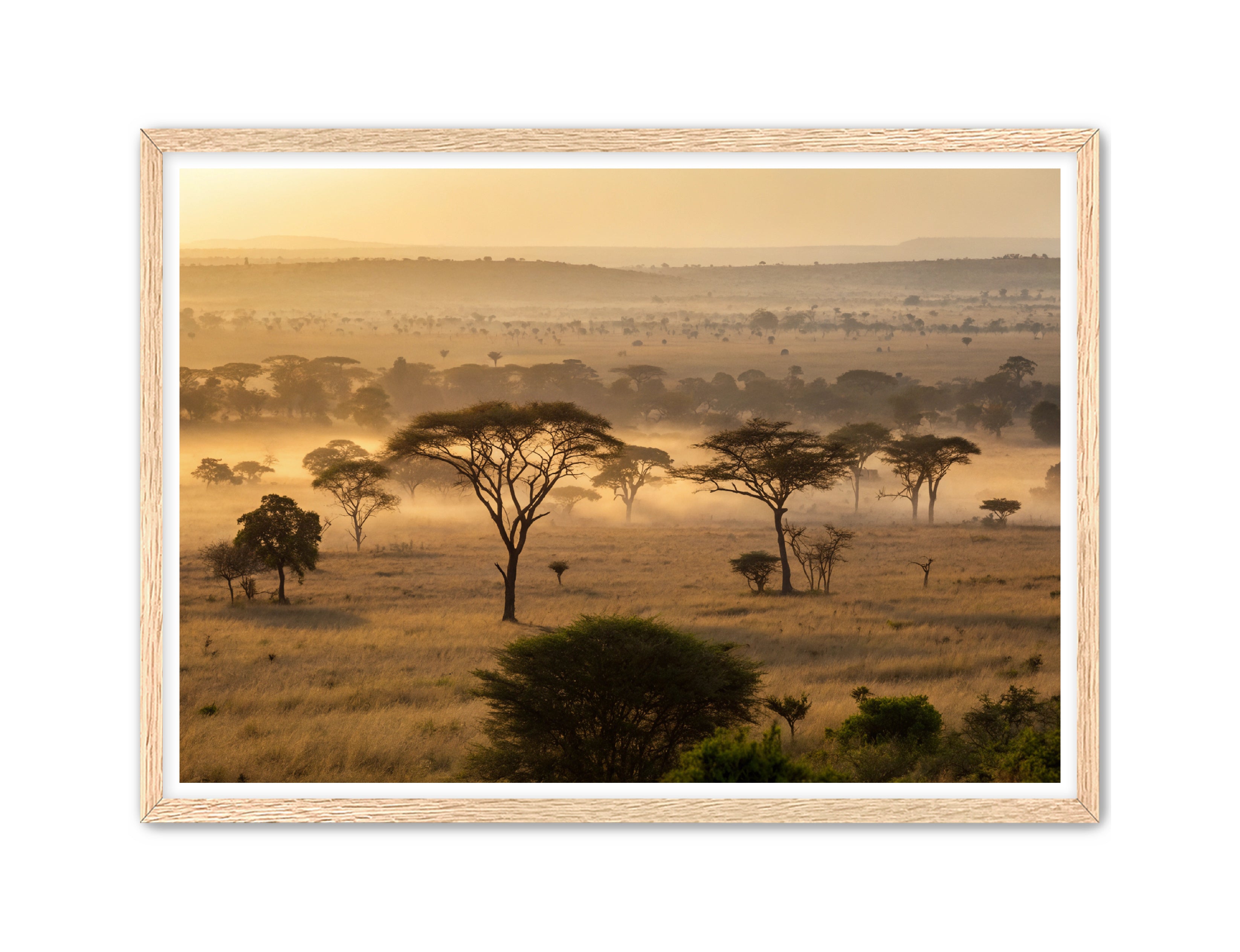 Apricus Prints 'Sunrise on the Serengeti' Apricus Art Collection