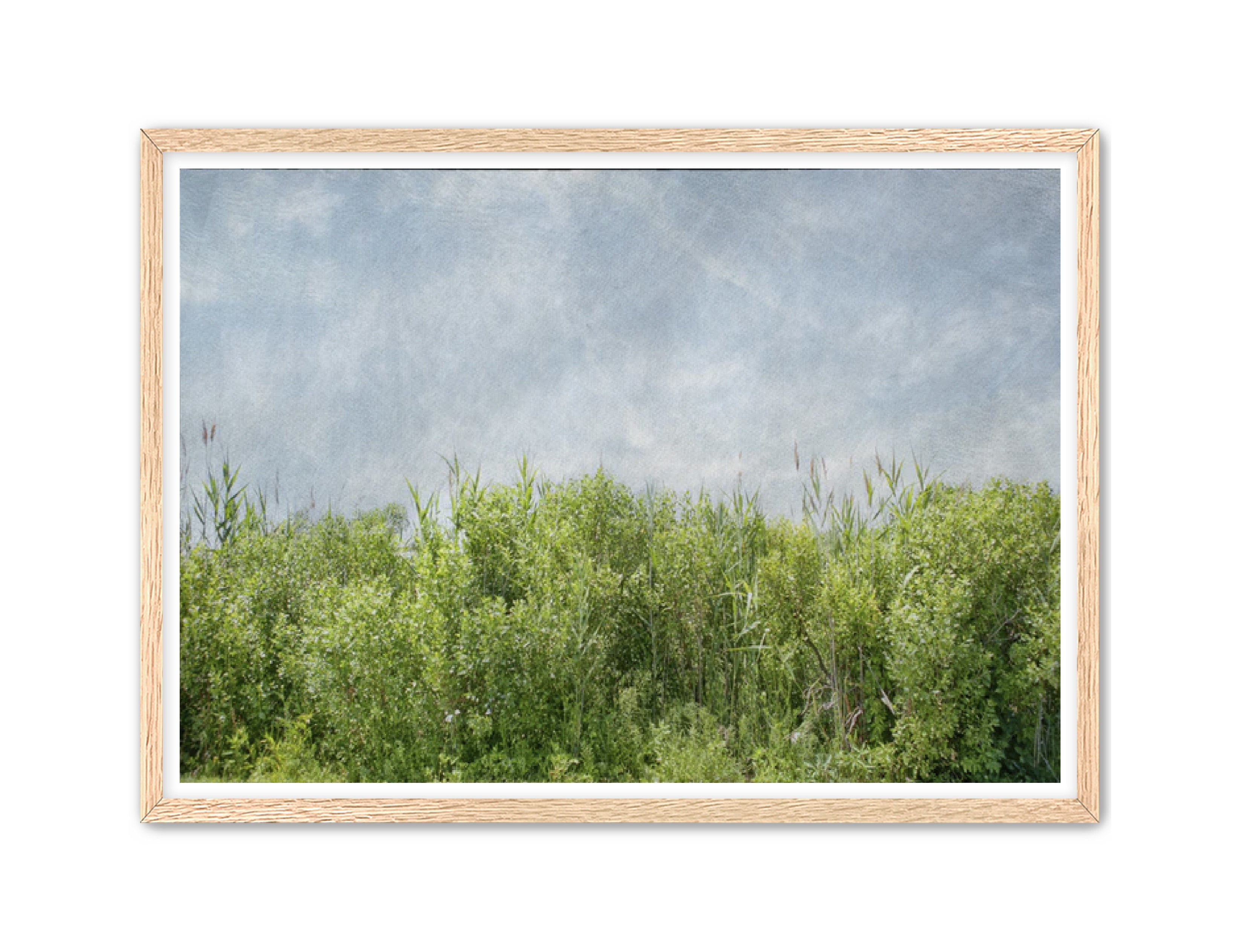 PhotoArt Prints 'BEACH BRIAR' Danielle Neumann Kelly