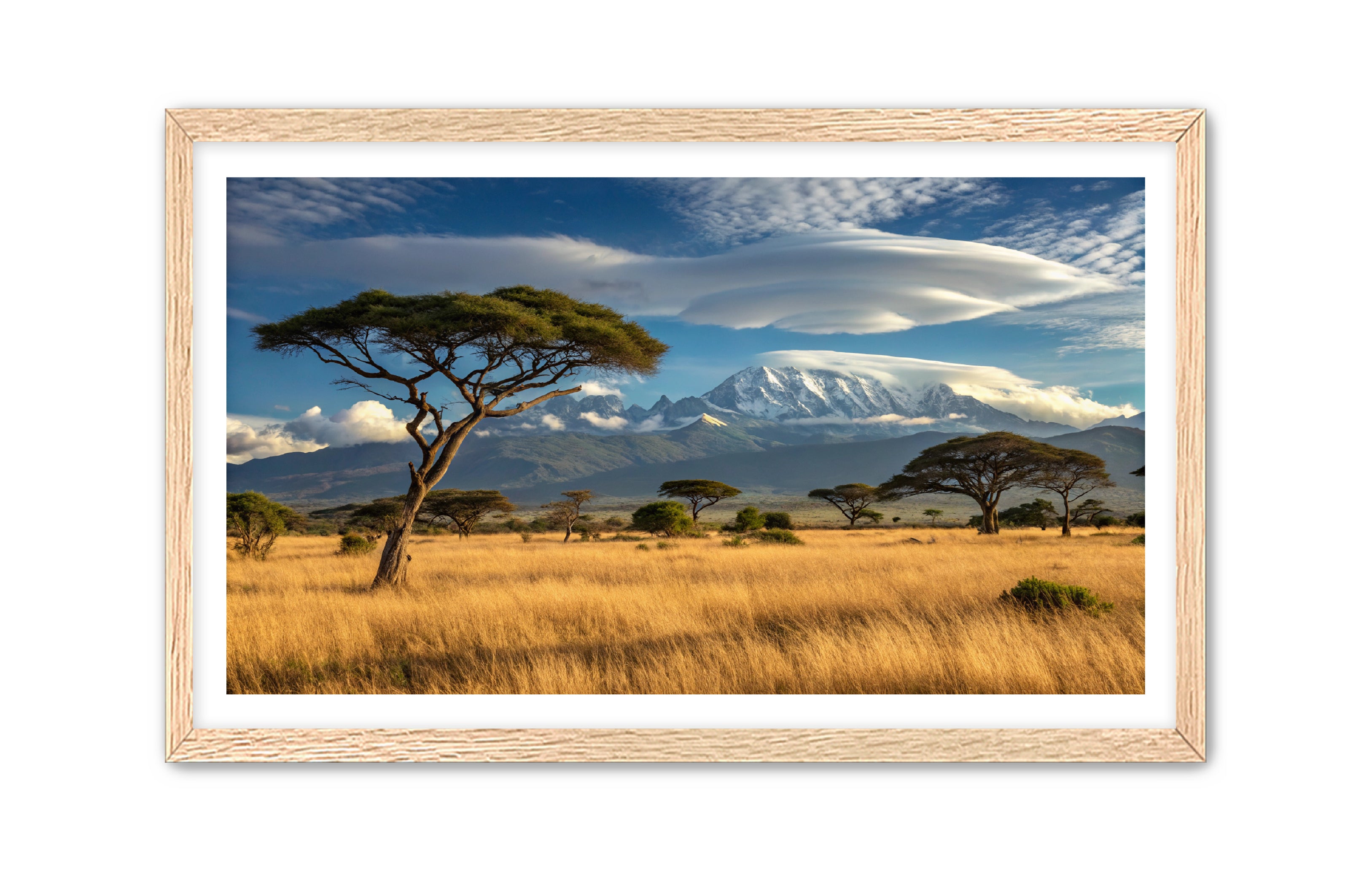 Apricus Prints 'Safari Layers' Apricus Art Collection