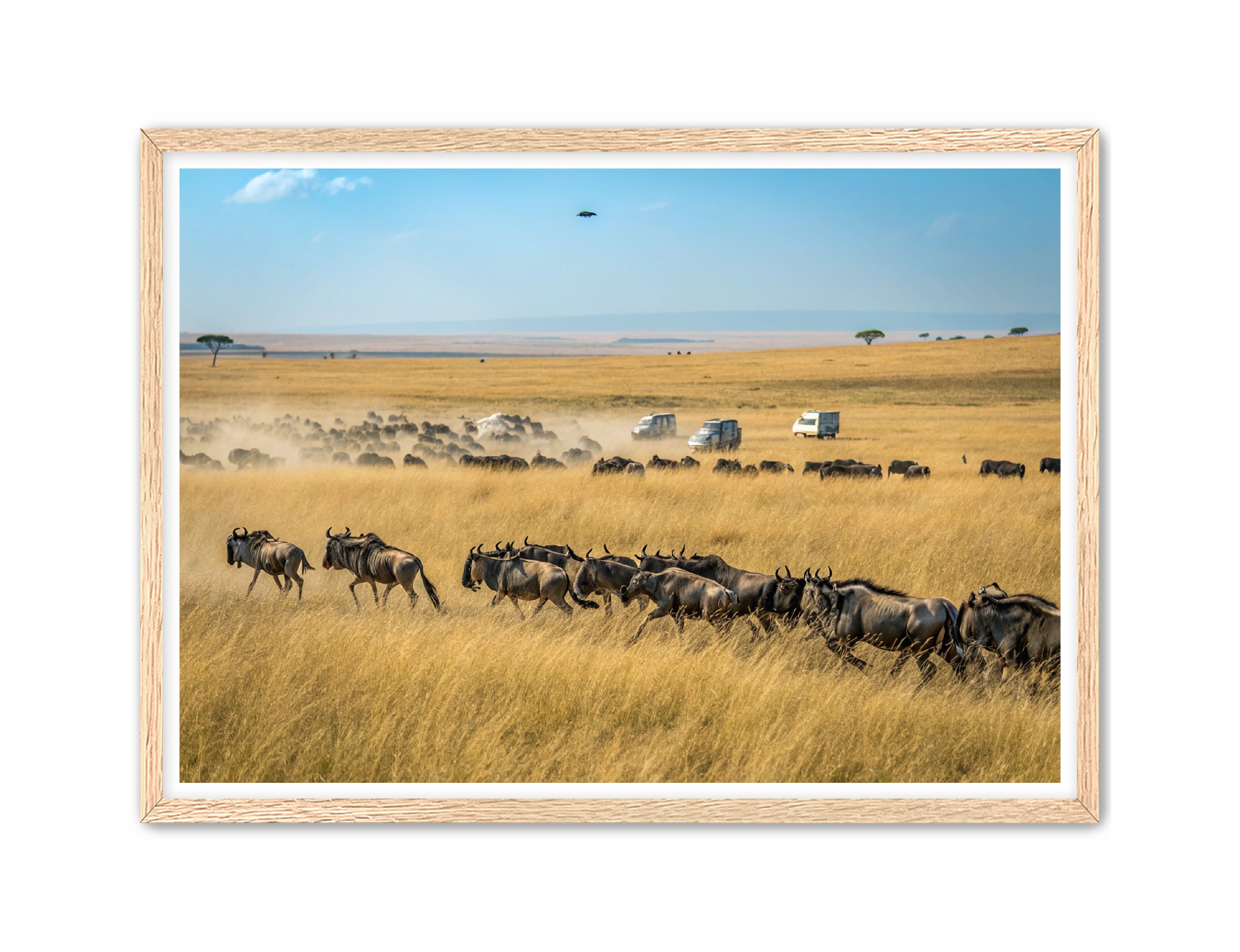 Apricus Prints 'Serengeti Stampede' Apricus Art Collection