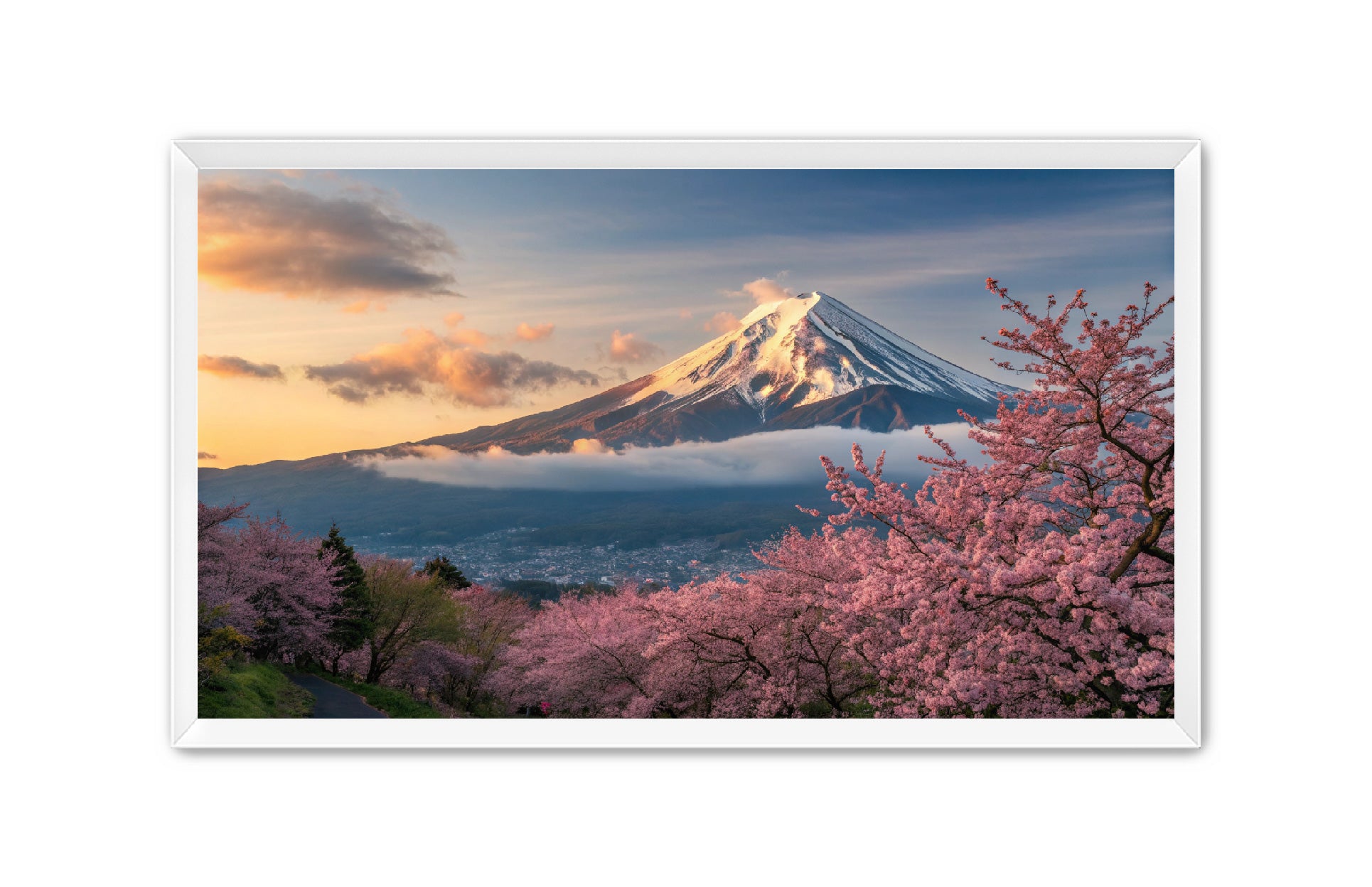 Apricus Prints 'Fuji’s Reflection' Apricus Art Collection