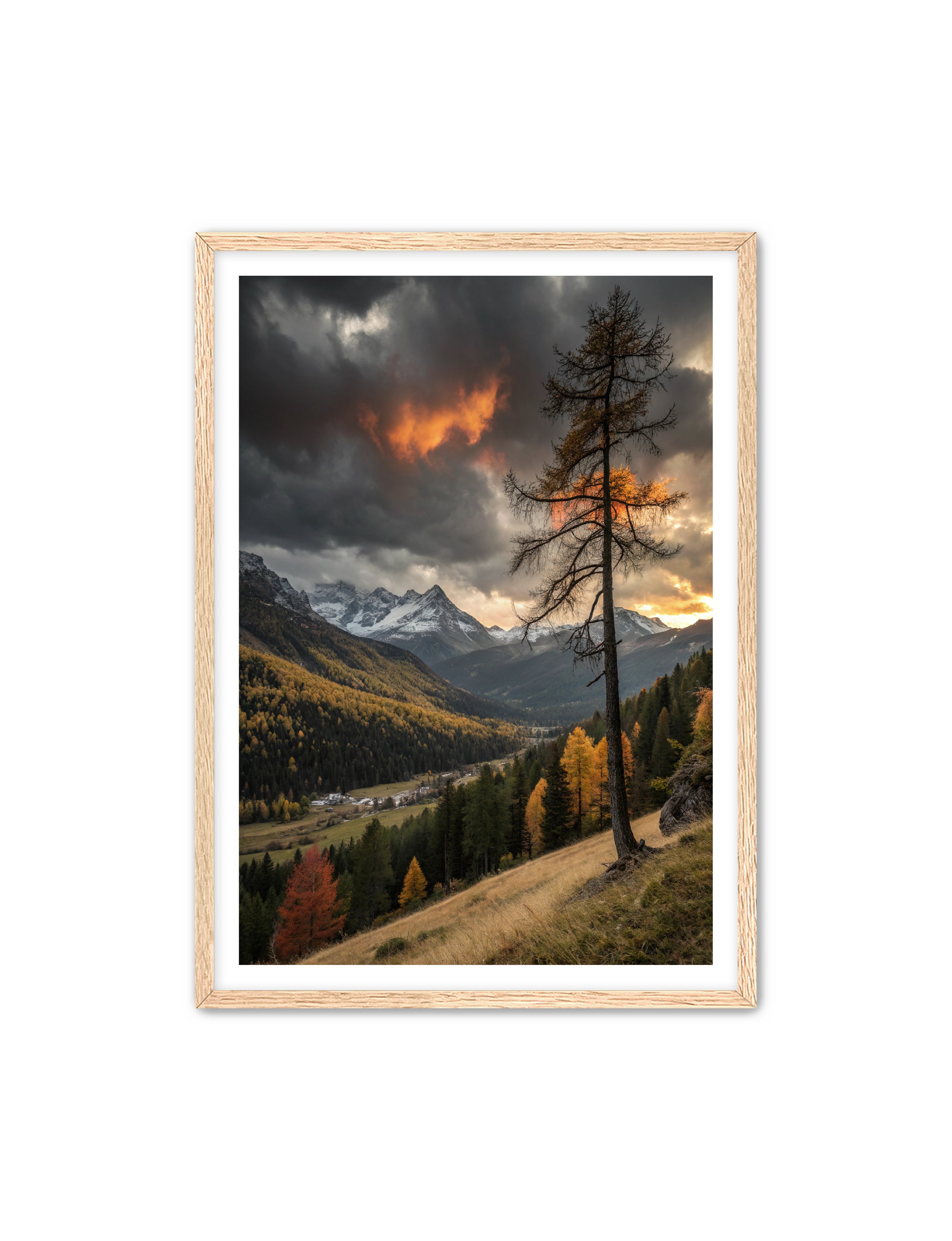 Apricus Prints 'San Juan Fall' Apricus Art Collection