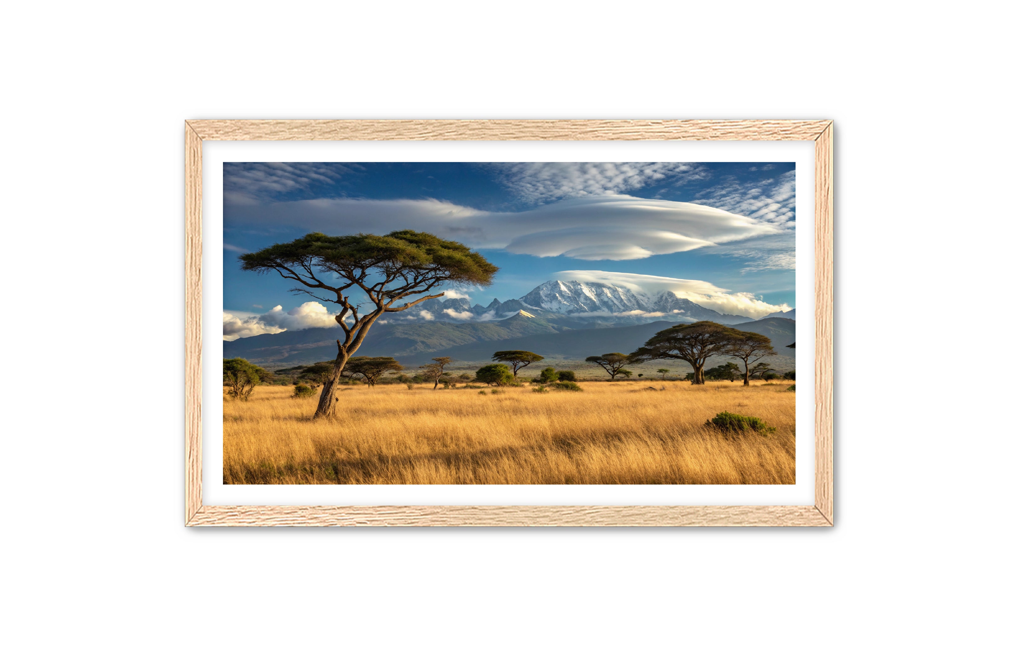 Apricus Prints 'Safari Layers' Apricus Art Collection