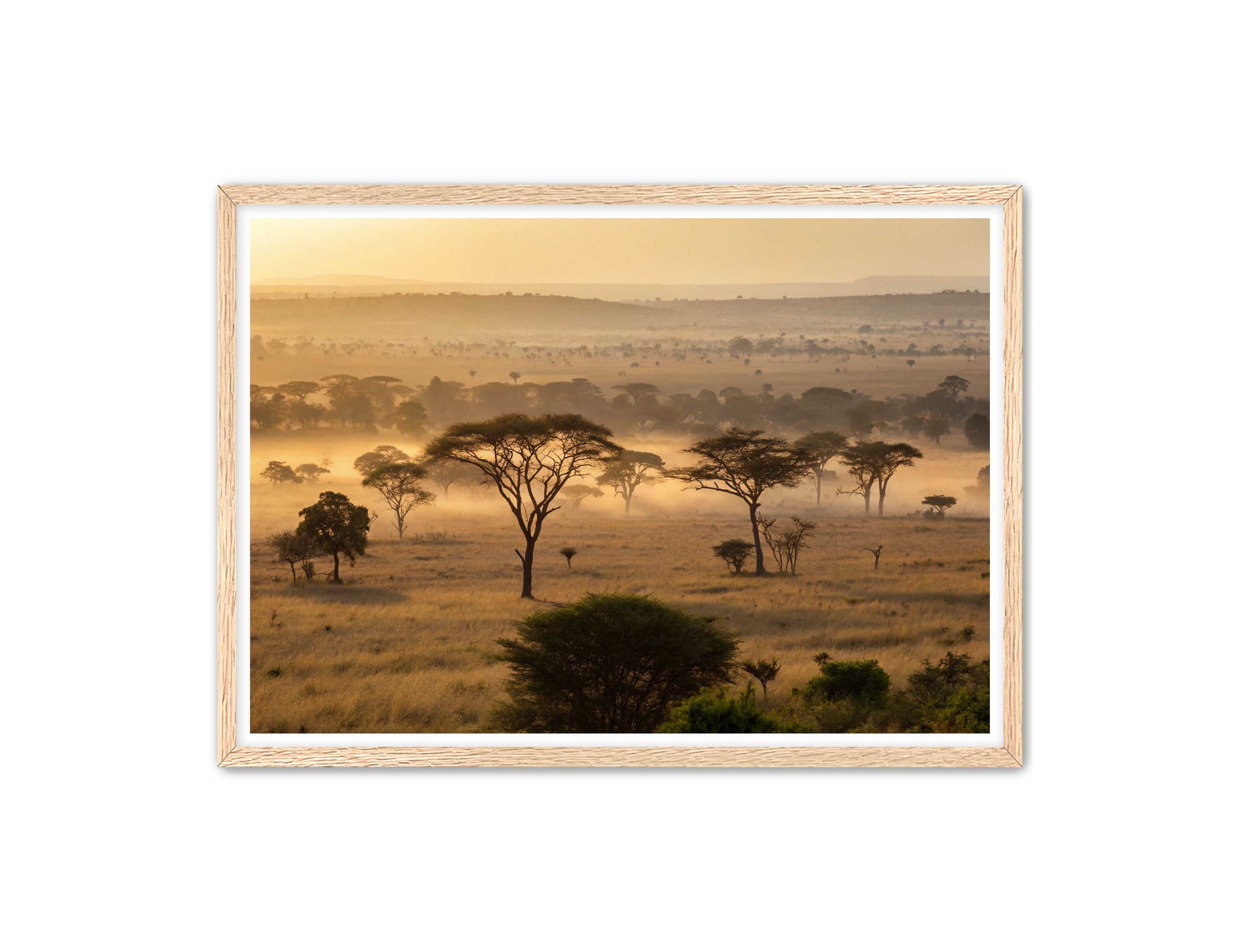 Apricus Prints 'Sunrise on the Serengeti' Apricus Art Collection