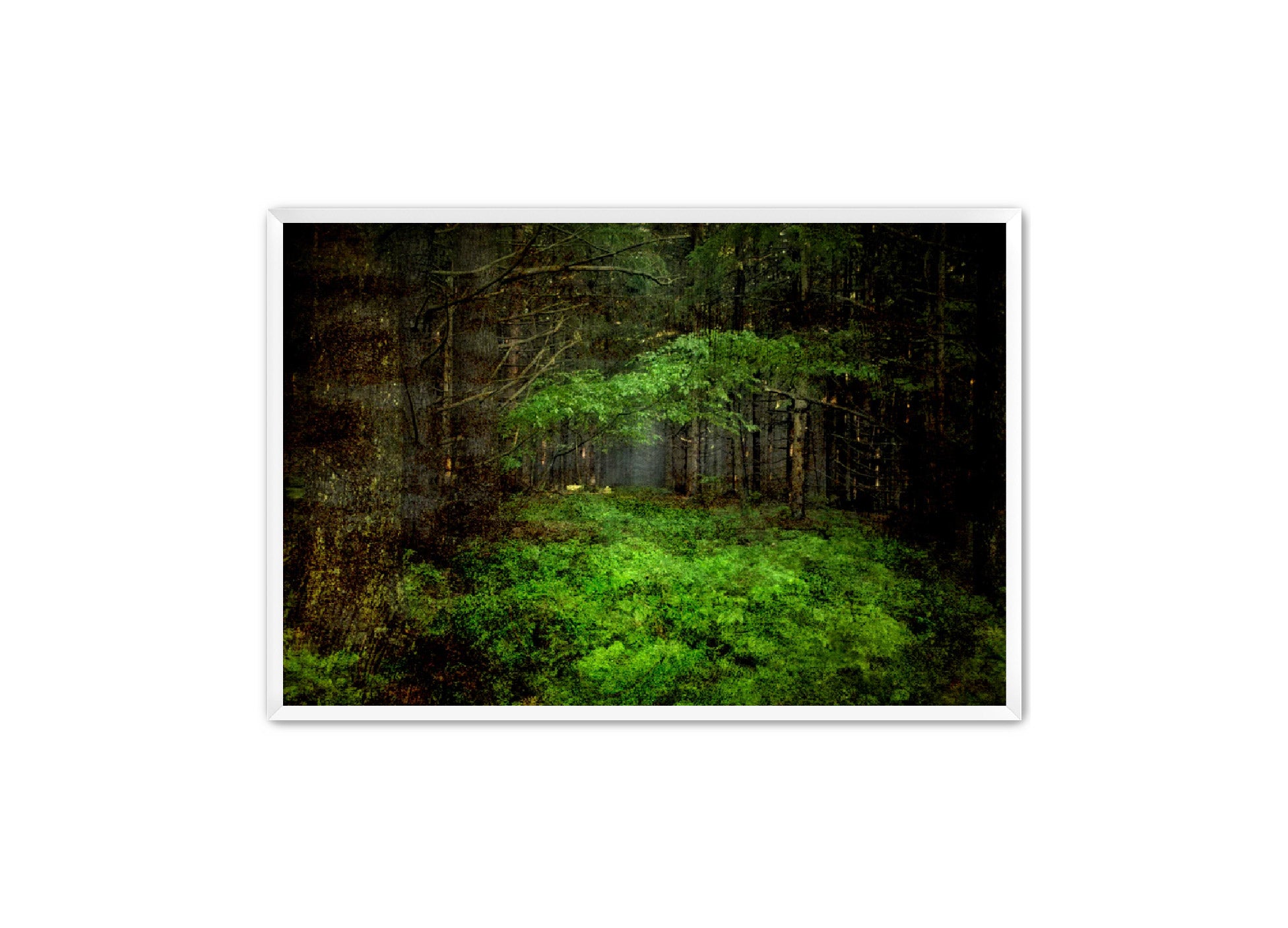 PhotoArt Prints 'TEXTURED TREES 3' Danielle Neumann Kelly