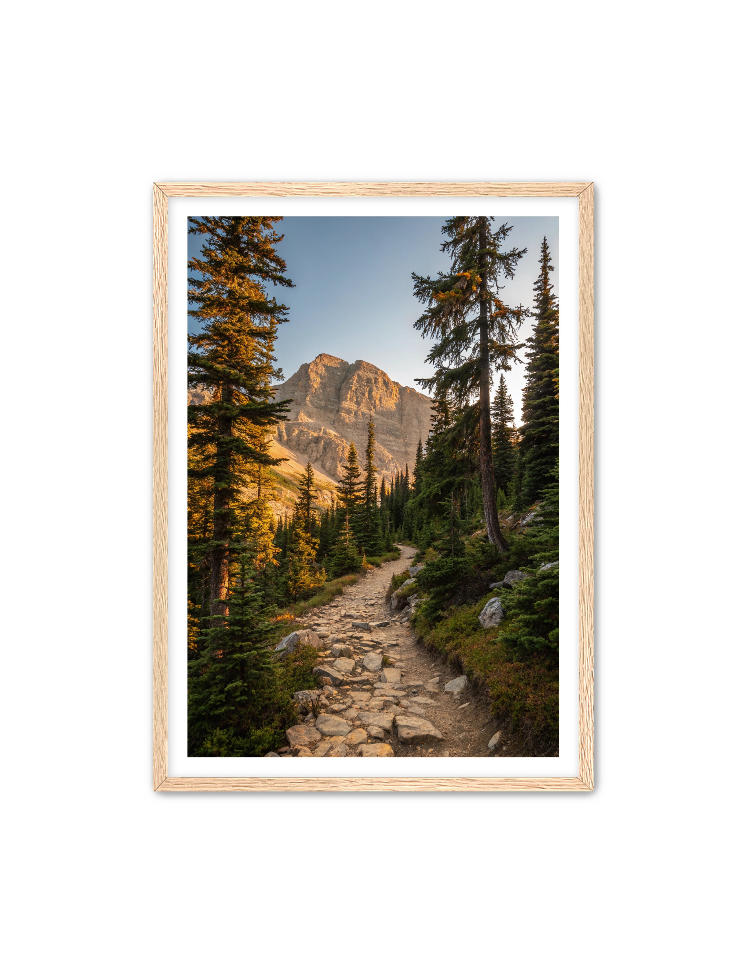 Apricus Prints 'Rocky Mountain Way' Apricus Art Collection