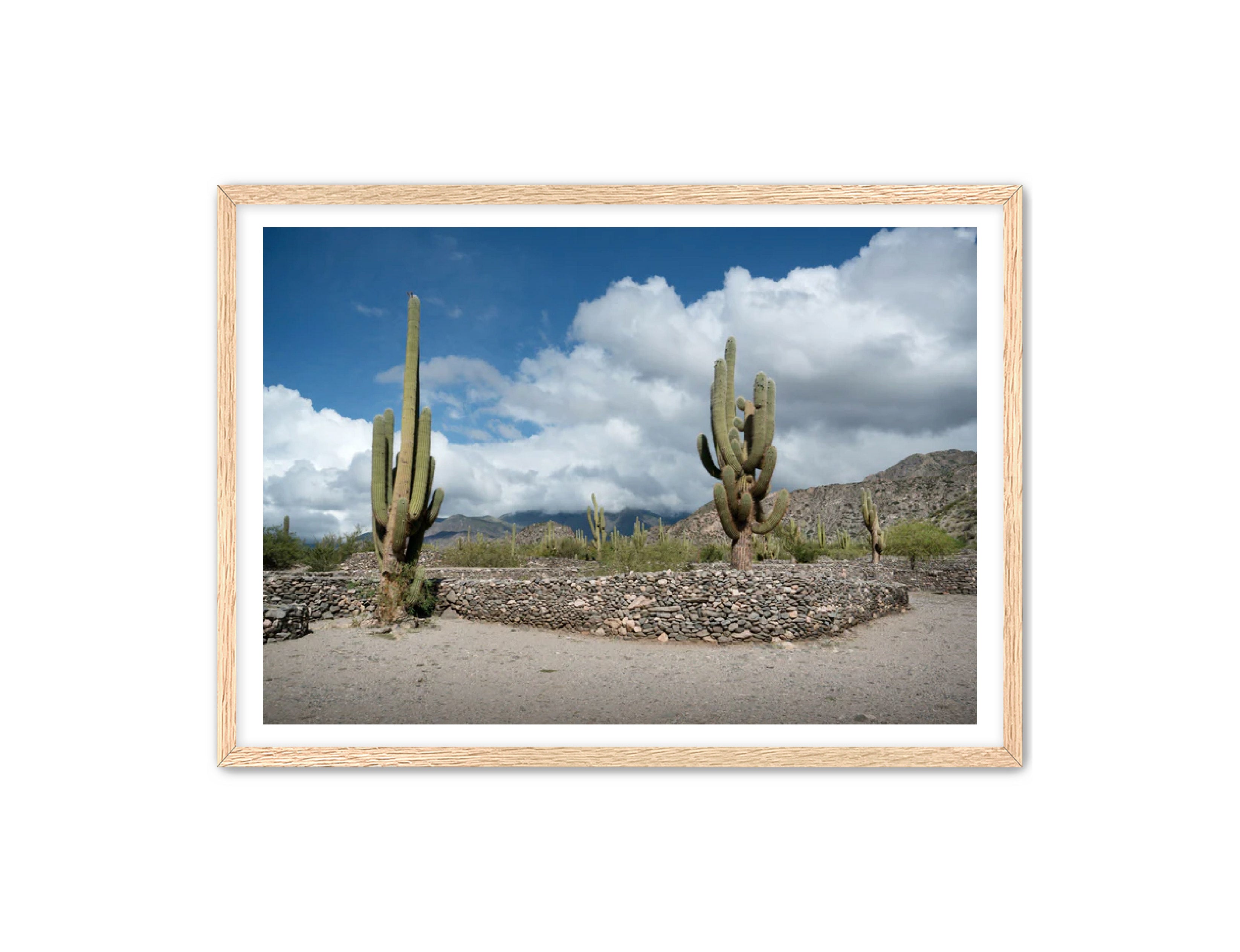 Landscape Photography Prints 'Cactus on the way' Aline Karagozlu