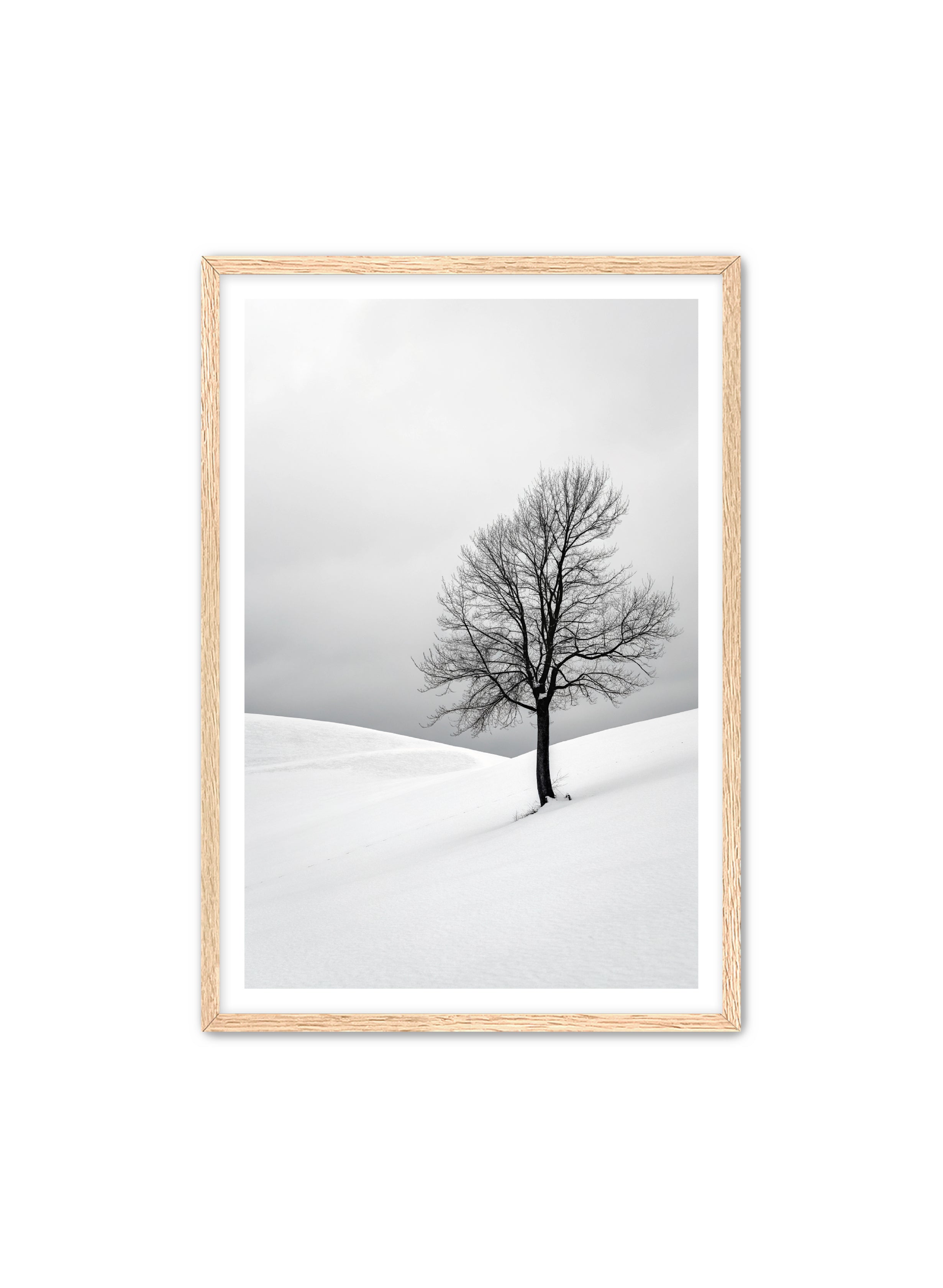 Apricus Prints 'Winter Whisper' Apricus Art Collection